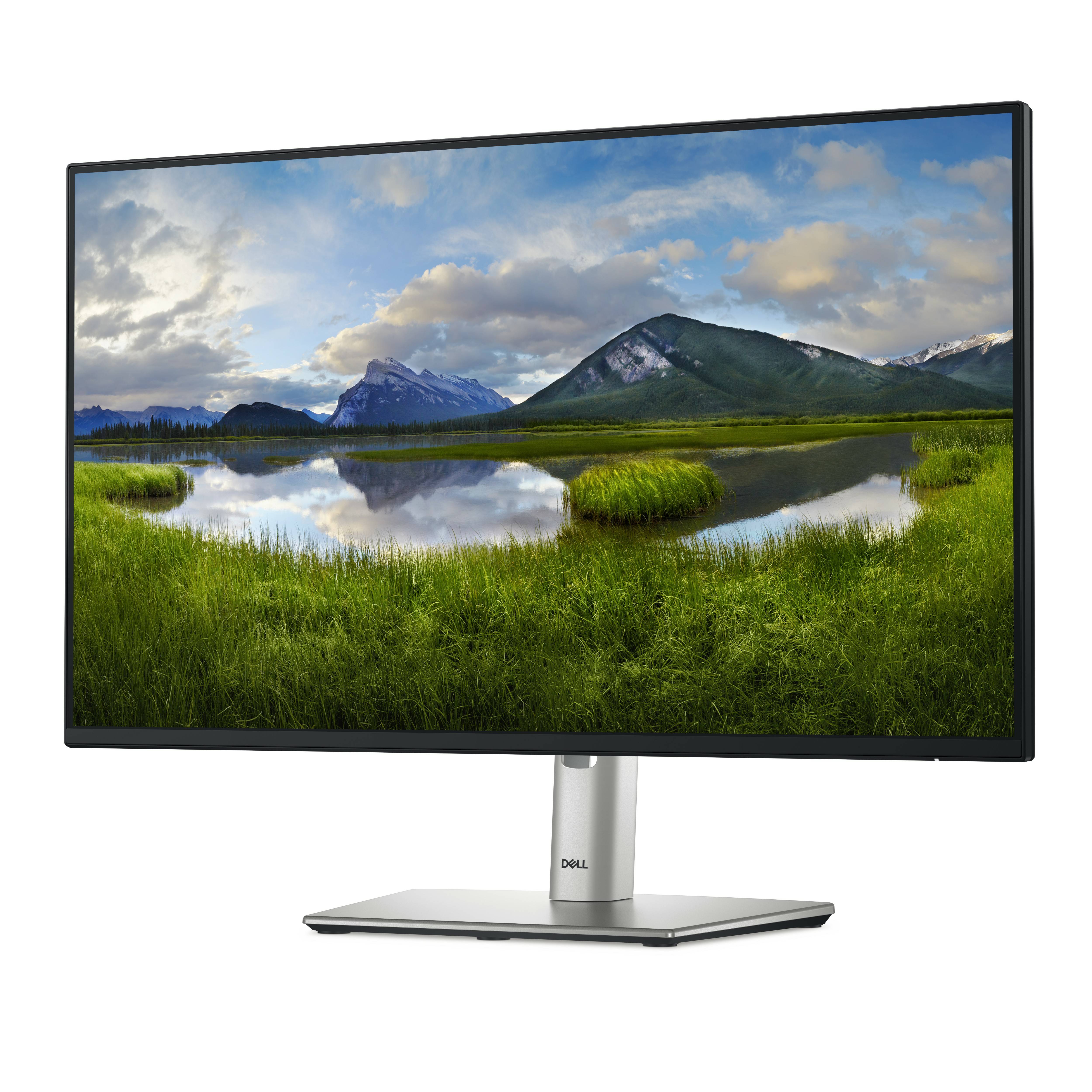 Rca Informatique - image du produit : DELL 24 USB-C HUB MONITOR - P2425HE