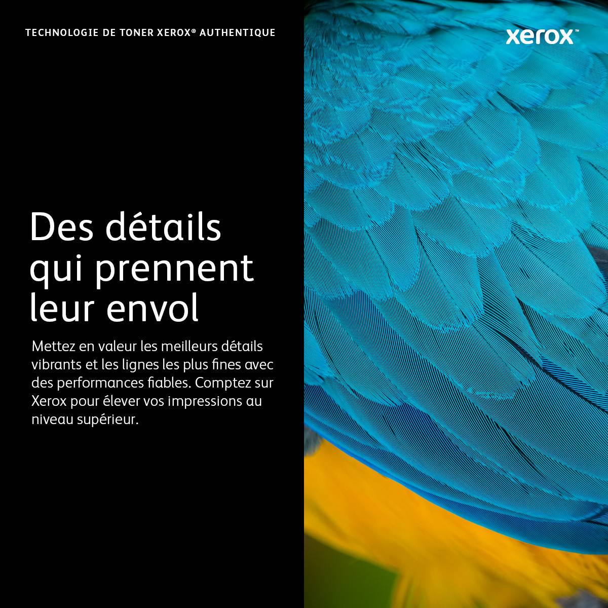 Rca Informatique - image du produit : XEROX C230 / C235 YELLOW HIGH CAP TONER CARTRIDGE (2500 PAGES)