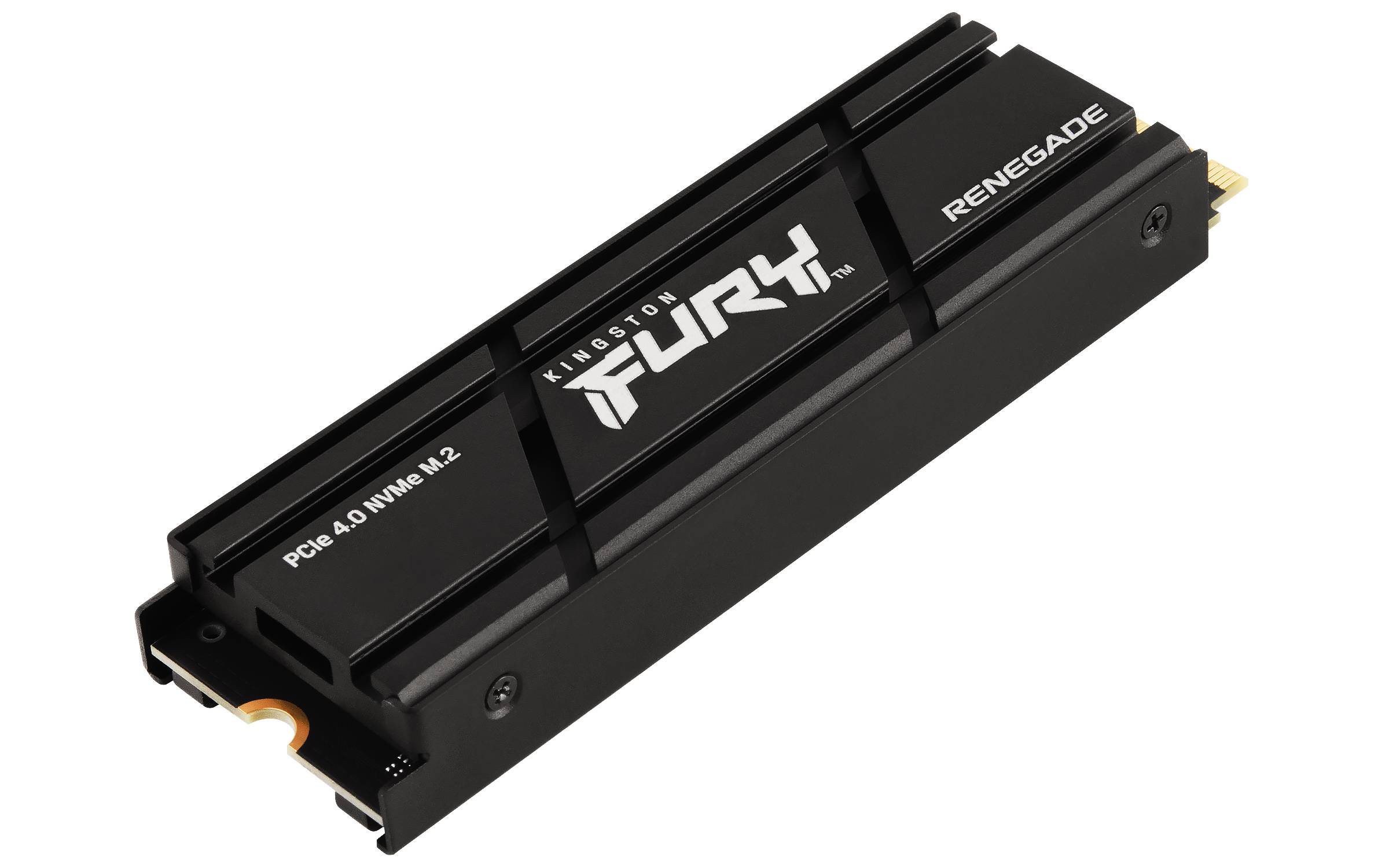 Rca Informatique - image du produit : 500G FURY RENEGADE W/ HEATSINK PCIE 4.0 NVME SSD