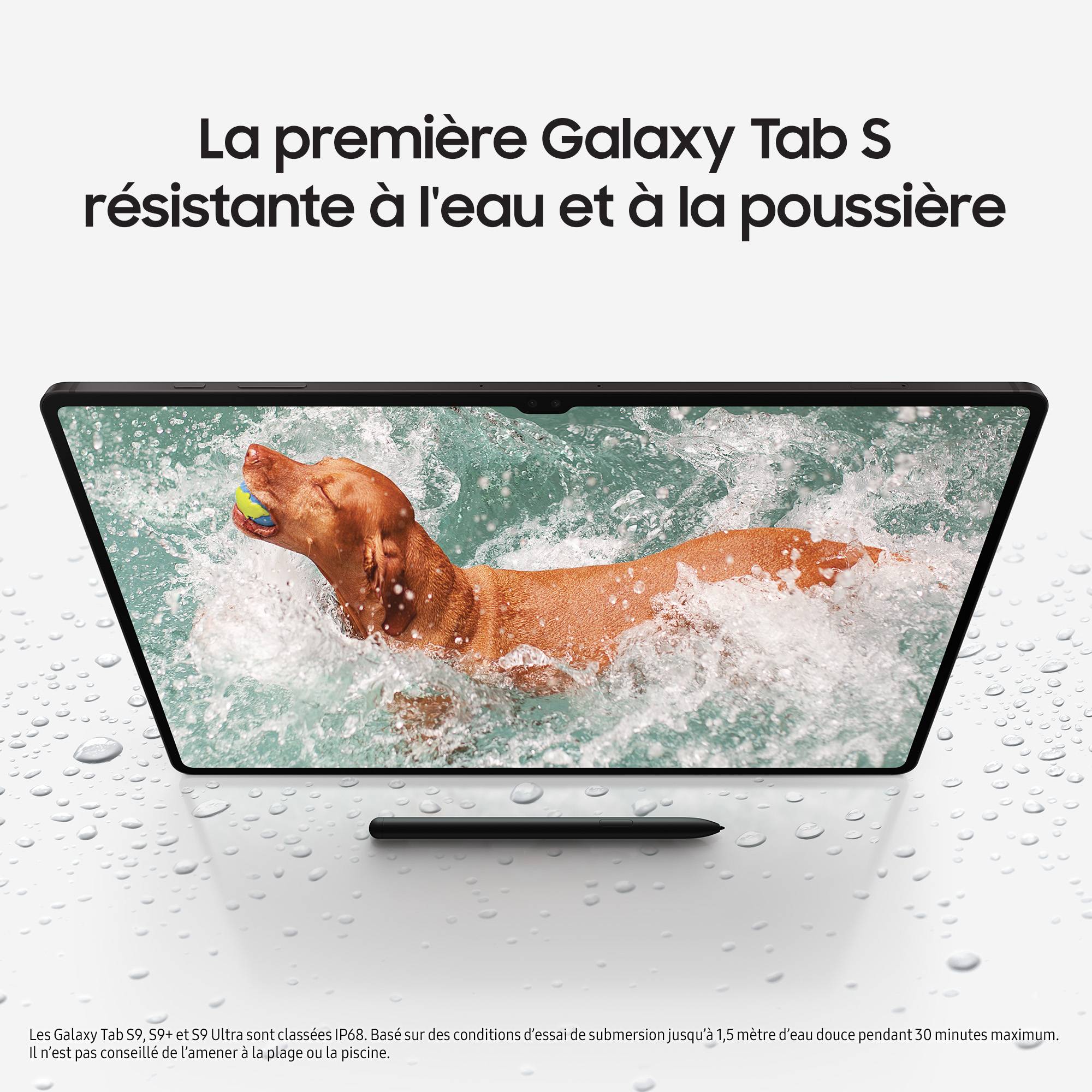 Rca Informatique - image du produit : GALAXY TAB S9 ULTRA 14.6IN 12/256GB ANTHRACITE