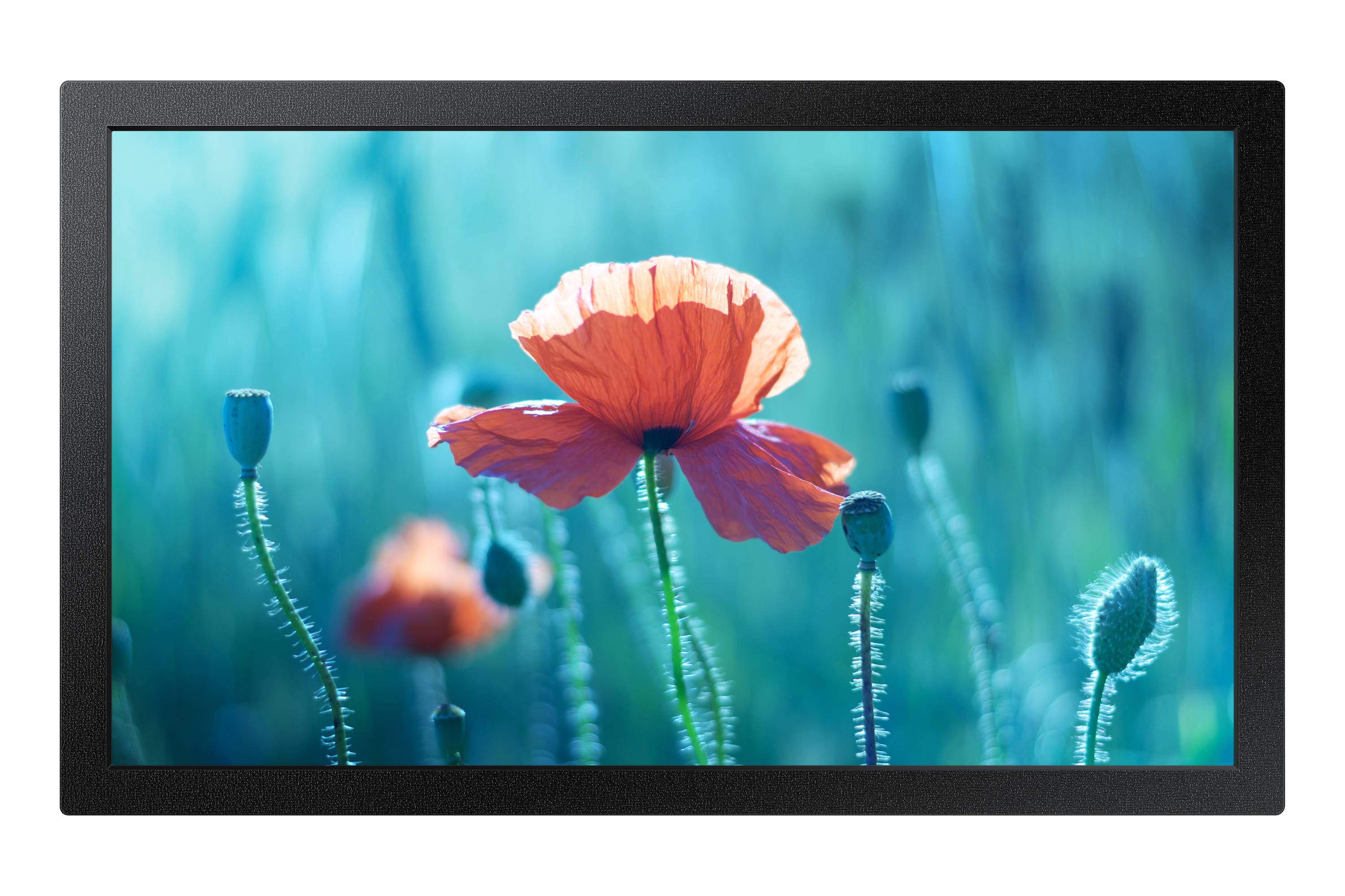 Rca Informatique - Image du produit : QB13R 13IN 33CM 1920 X 1080 FHD 500CD 16/7 TIZEN4.0 8MS 10000:1