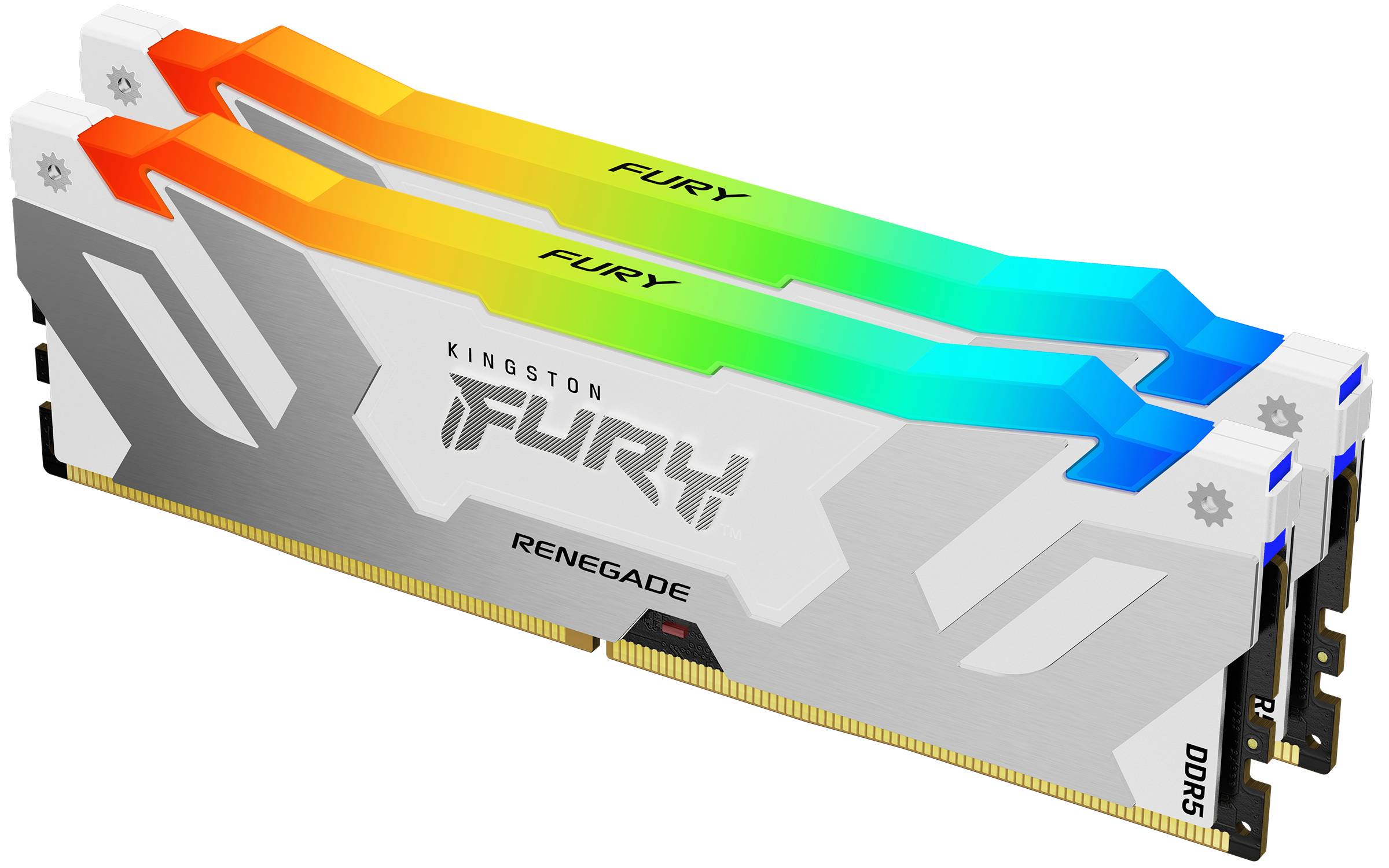 Rca Informatique - image du produit : 32GB DDR5-8000MT/S CL38 DIMM (KIT OF 2)RENEGADE RGB WHITE XMP