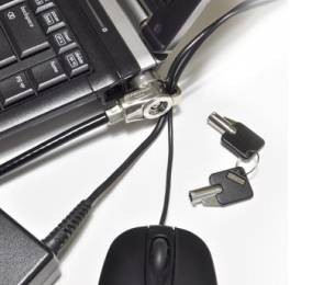 Rca Informatique - Image du produit : KEYED DOUBLE HEAD CABLE LOCK