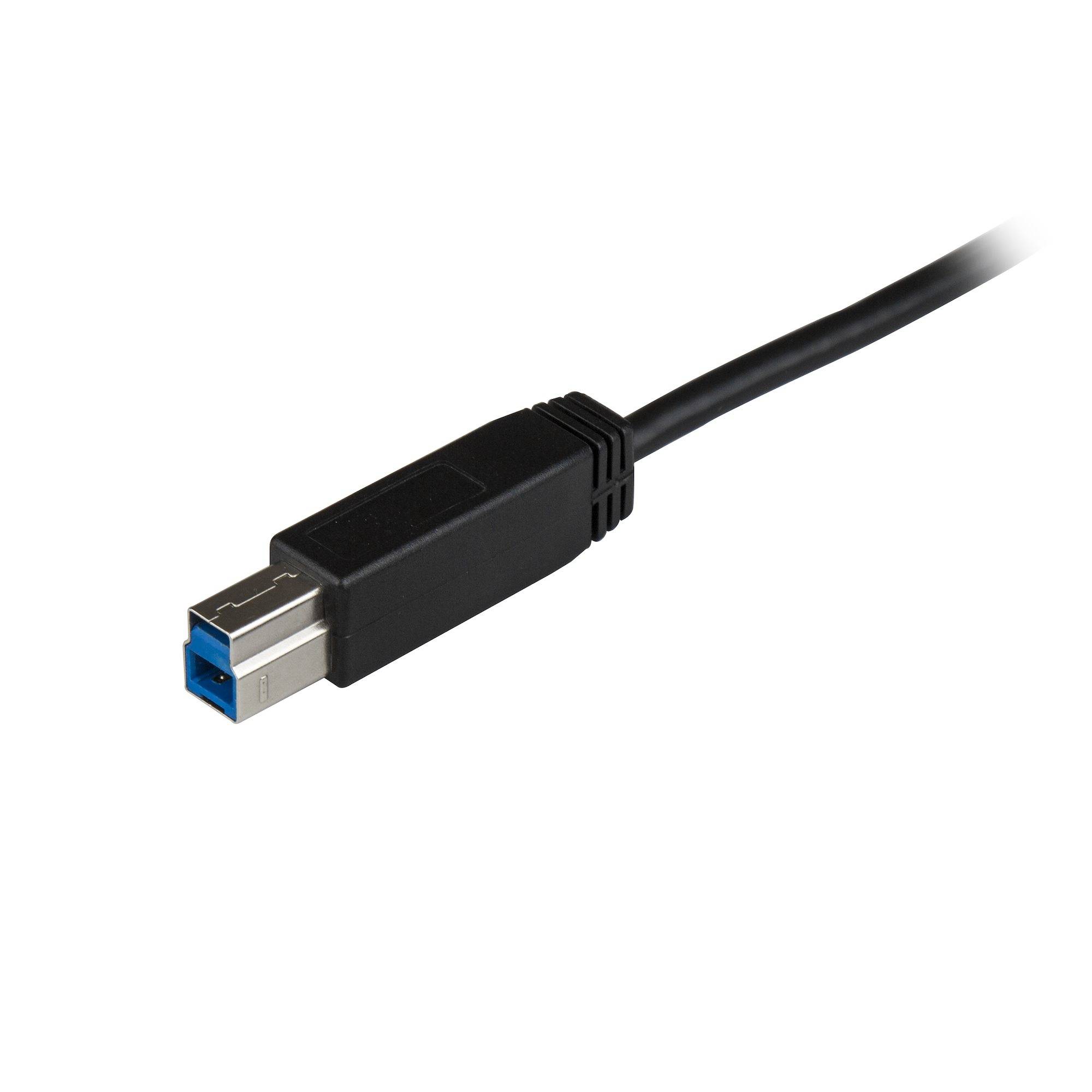 Rca Informatique - image du produit : 3FT USB TYPE C TO USB TYPE B CABLE USB 3.1 GEN 2 10GBPS