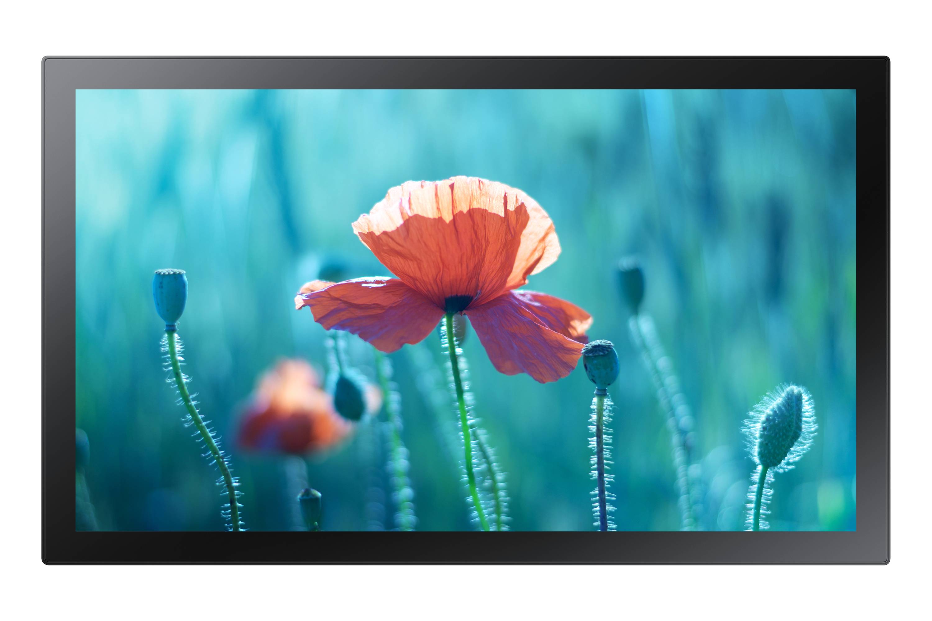 Rca Informatique - Image du produit : QB13R-T 13IN FHD TOUCH 500CD 16/7 TIZEN 4.0 1920 X 1080 16:9