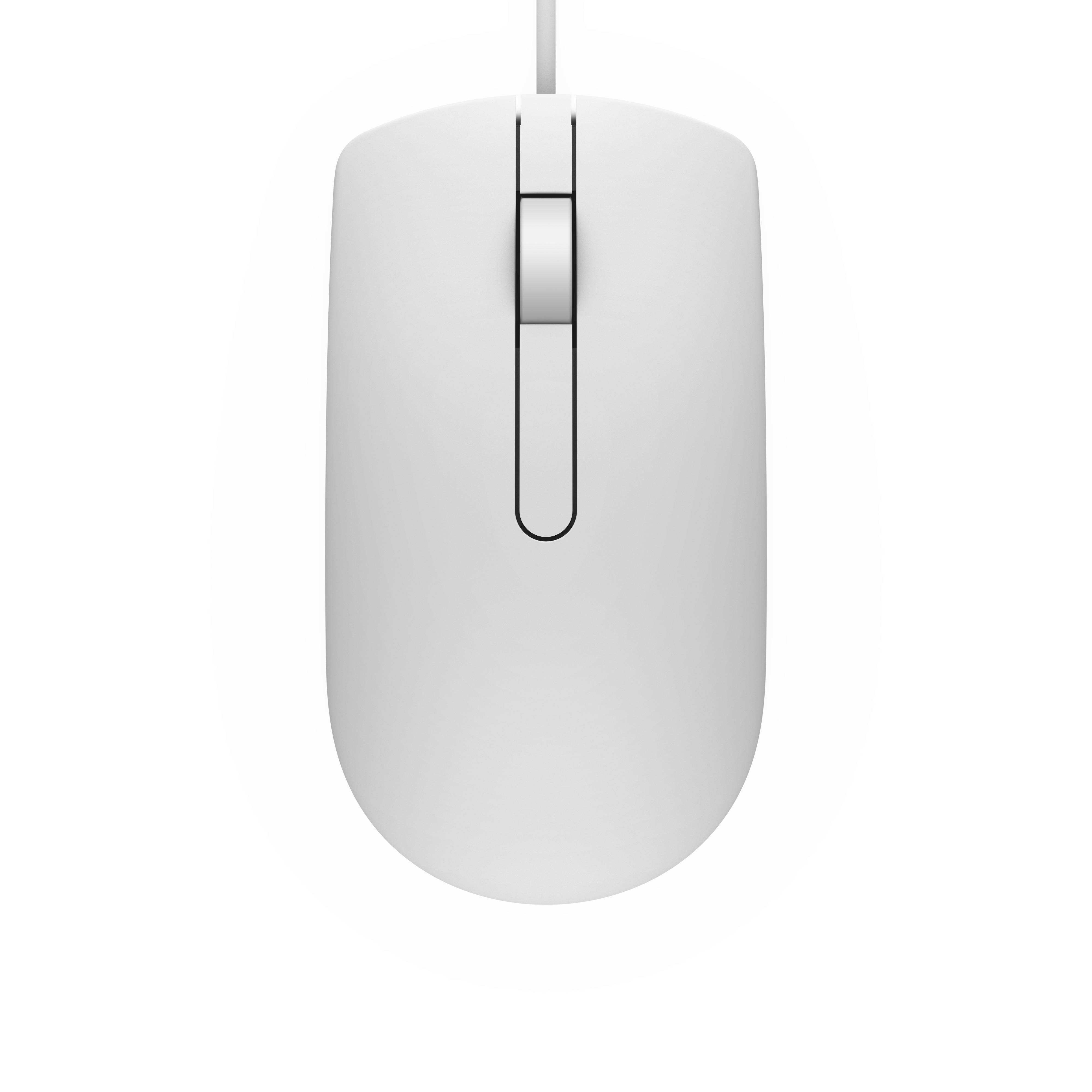 Rca Informatique - image du produit : SOURIS OPTIQUE MS116 PERP WHITE IN