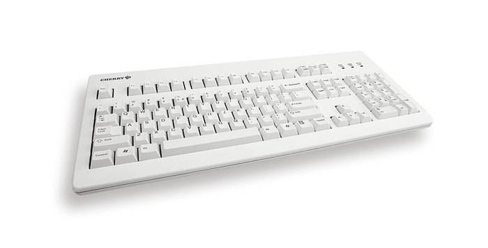 Rca Informatique - image du produit : KEYBOARD G80-3000 PS2/USB W/ GOLD CROSSPOINT CONTACTS