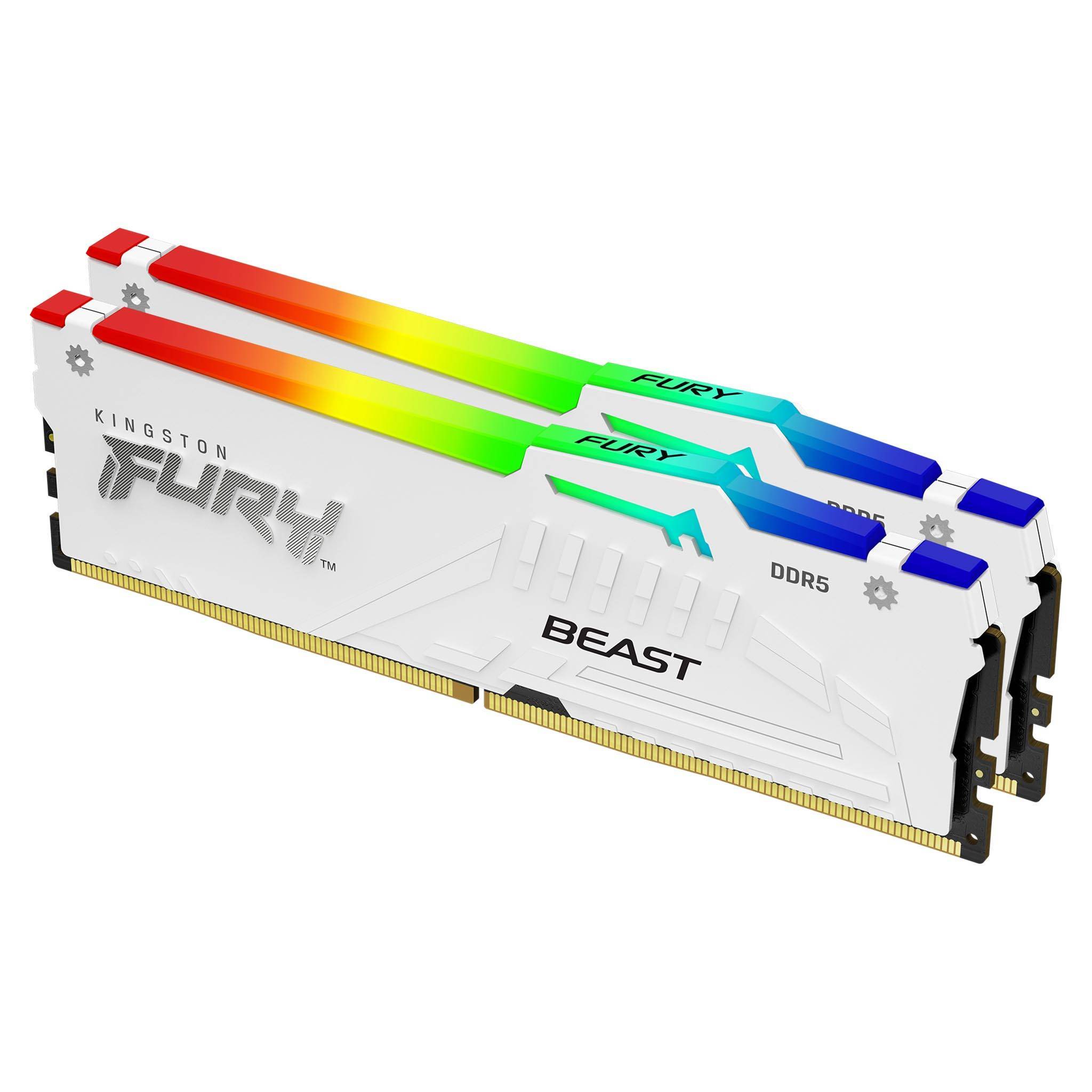 Rca Informatique - Image du produit : 32GB DDR5-5600MT/S CL40 DIMM (KIT OF 2) BEAST WHITE RGB XMP