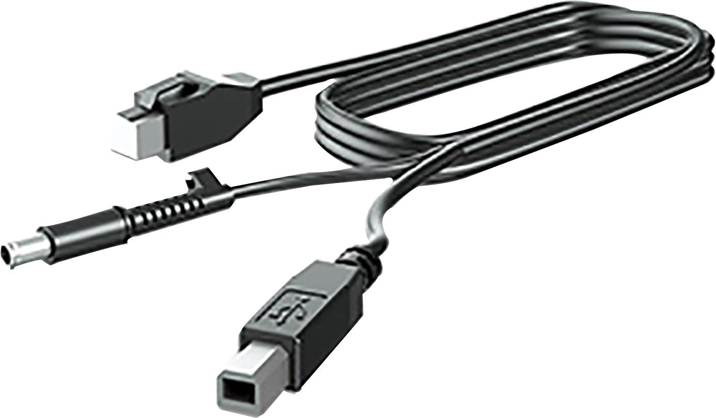 Rca Informatique - image du produit : 300CM DP+USB PWR CABLE .