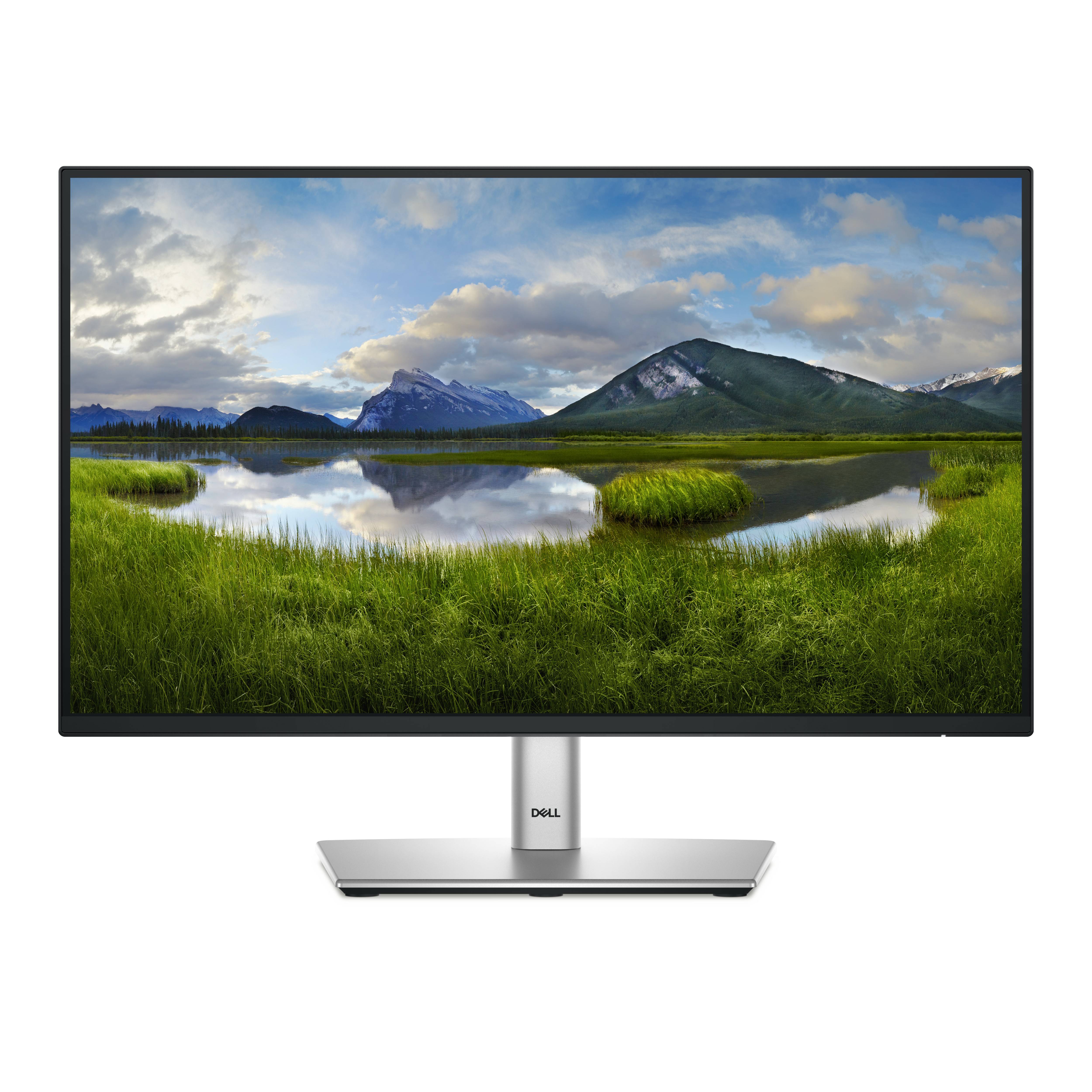 Rca Informatique - image du produit : DELL 22 MONITOR - P2225H