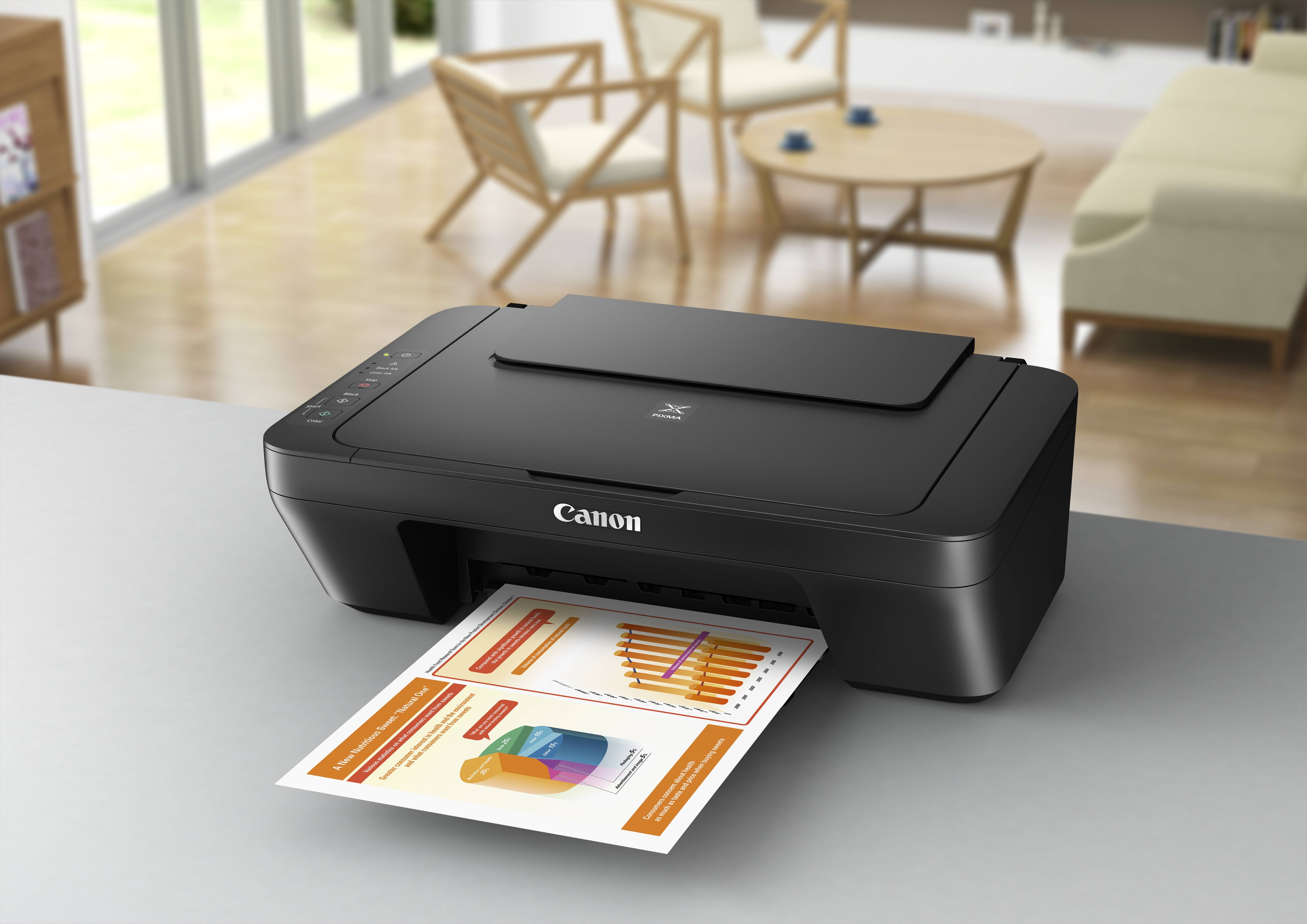 Rca Informatique - image du produit : PIXMA MG2555S MFP 3IN1