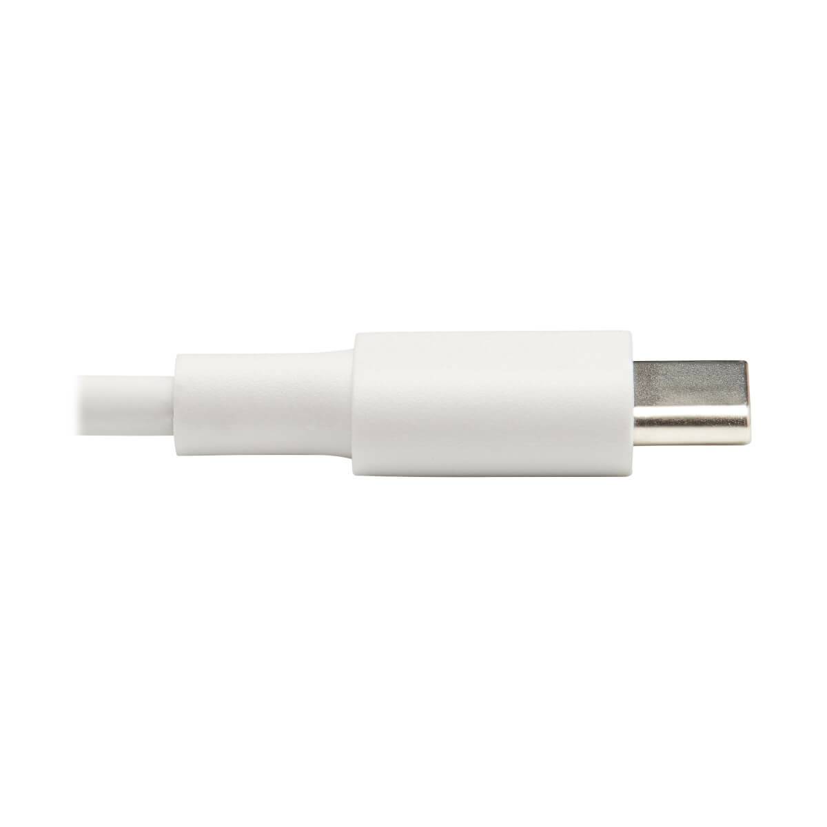 Rca Informatique - image du produit : USB-C TYPE-C SYNC / CHARGE CBL LIGHTNING USB 2.0 WHITE 0.91 M