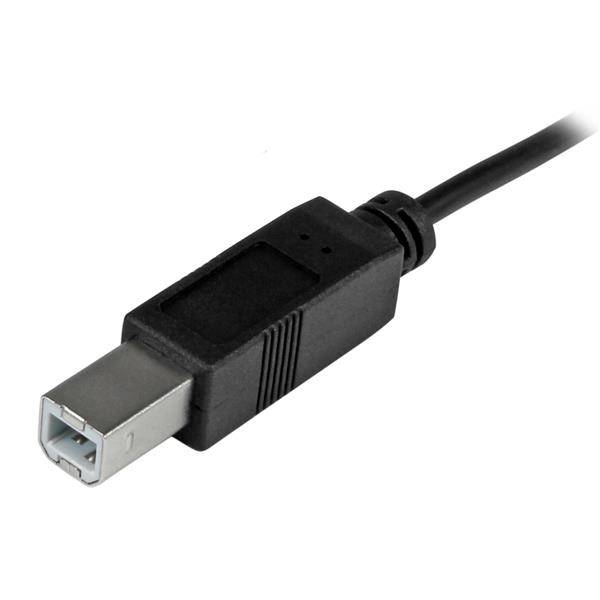 Rca Informatique - image du produit : 2M USB TYPE C TO USB TYPE B CABLE - USB 2.0 - 6FT