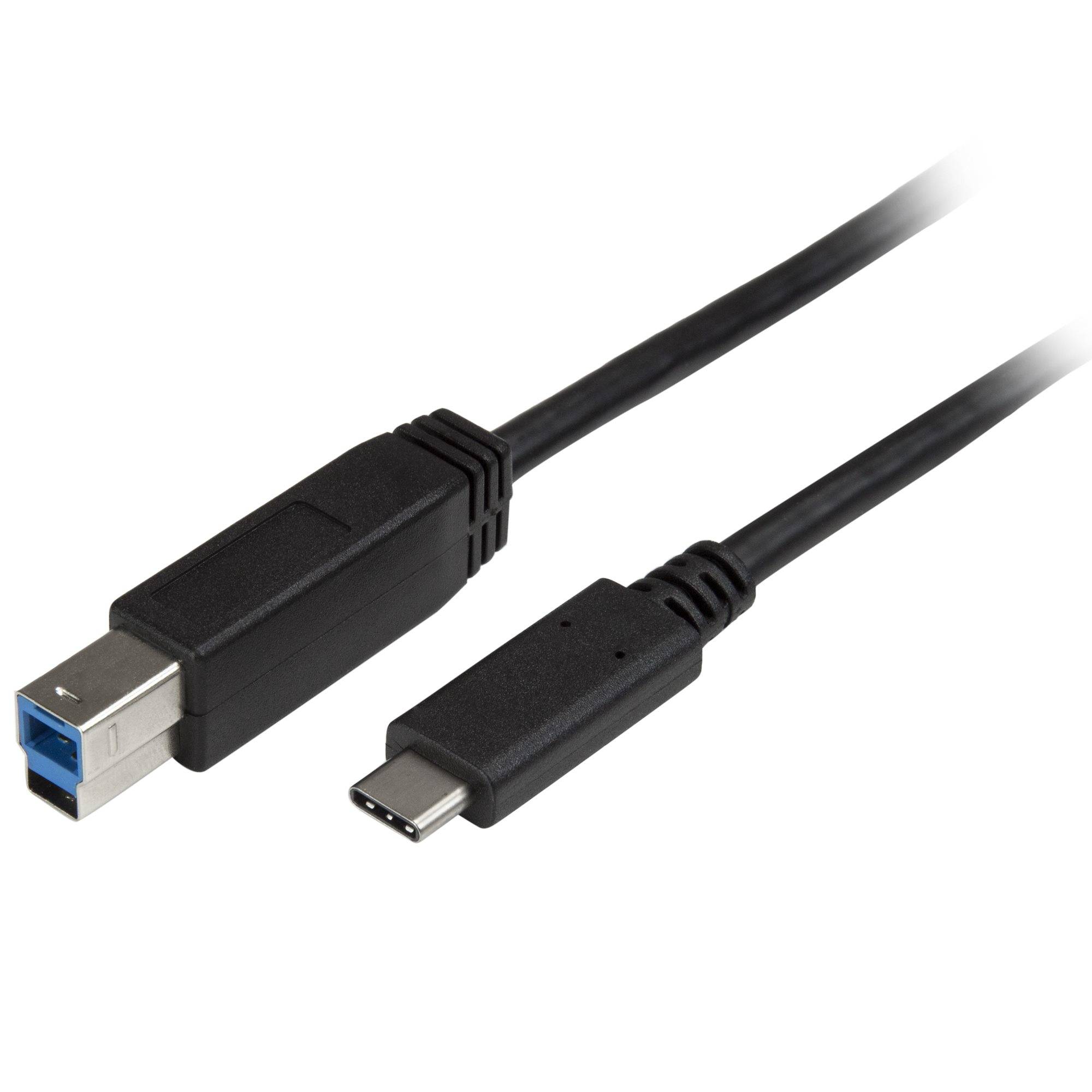 Rca Informatique - image du produit : 2M USB TYPE C TO USB TYPE B CABLE - USB 3.0 - 6FT