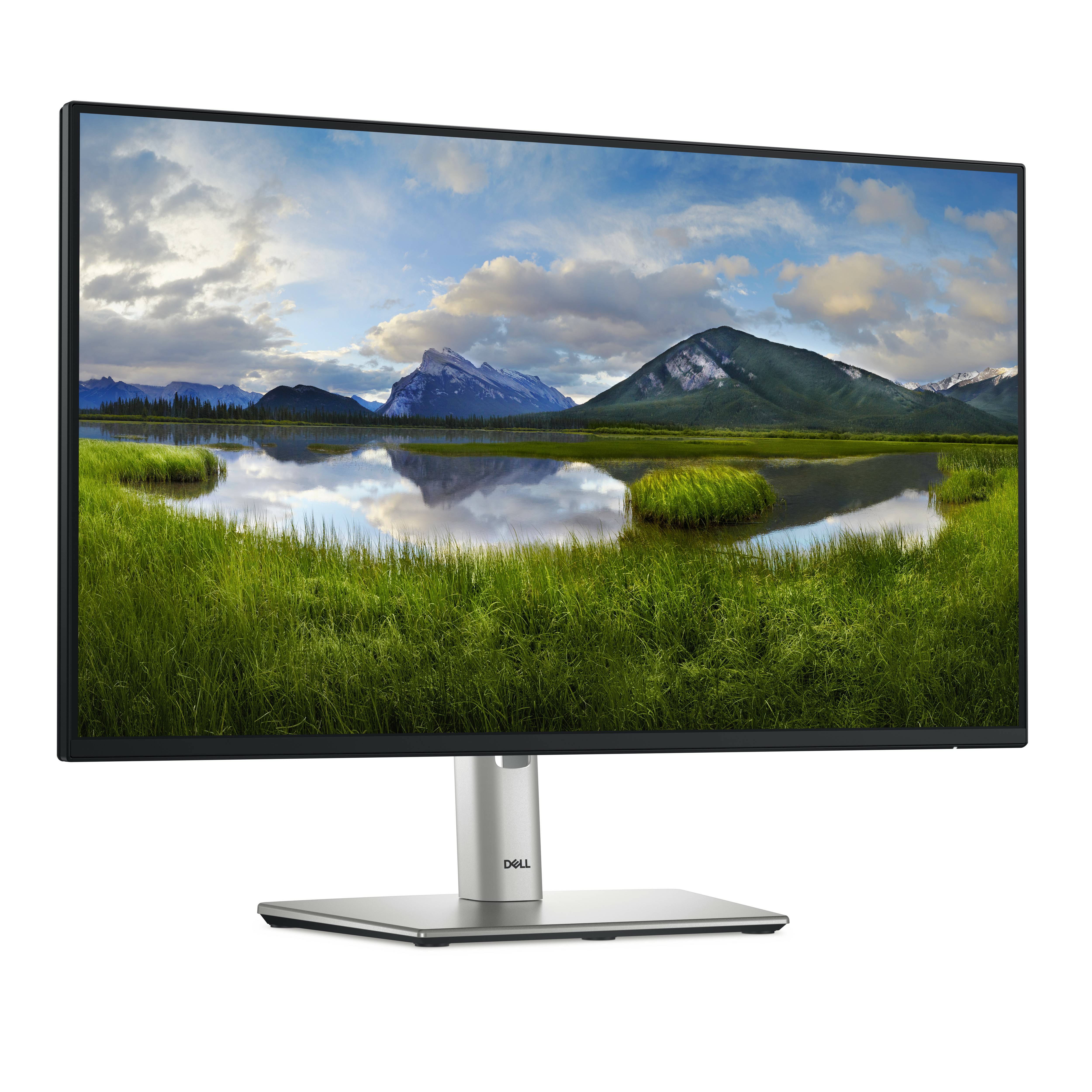 Rca Informatique - image du produit : DELL 24 USB-C HUB MONITOR - P2425HE