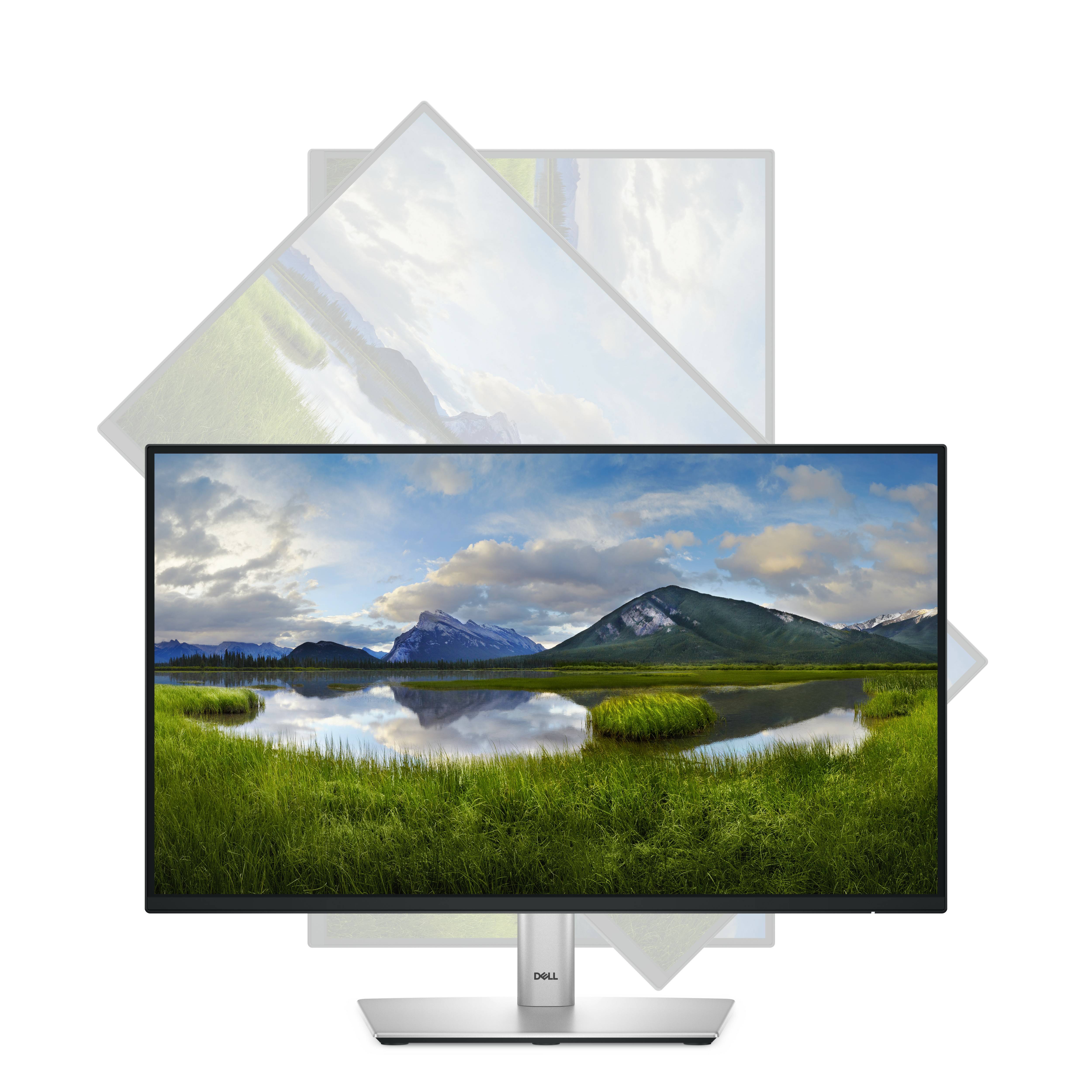 Rca Informatique - image du produit : DELL 22 MONITOR - P2225H