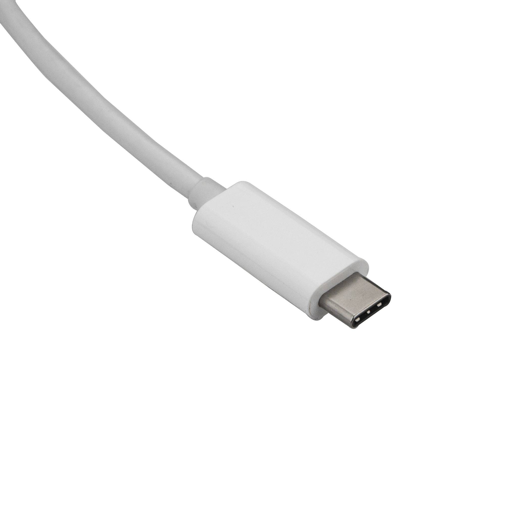 Rca Informatique - image du produit : 2 M / 6FT USB C TO HDMI CABLE - 4K AT 60 HZ - WHITE