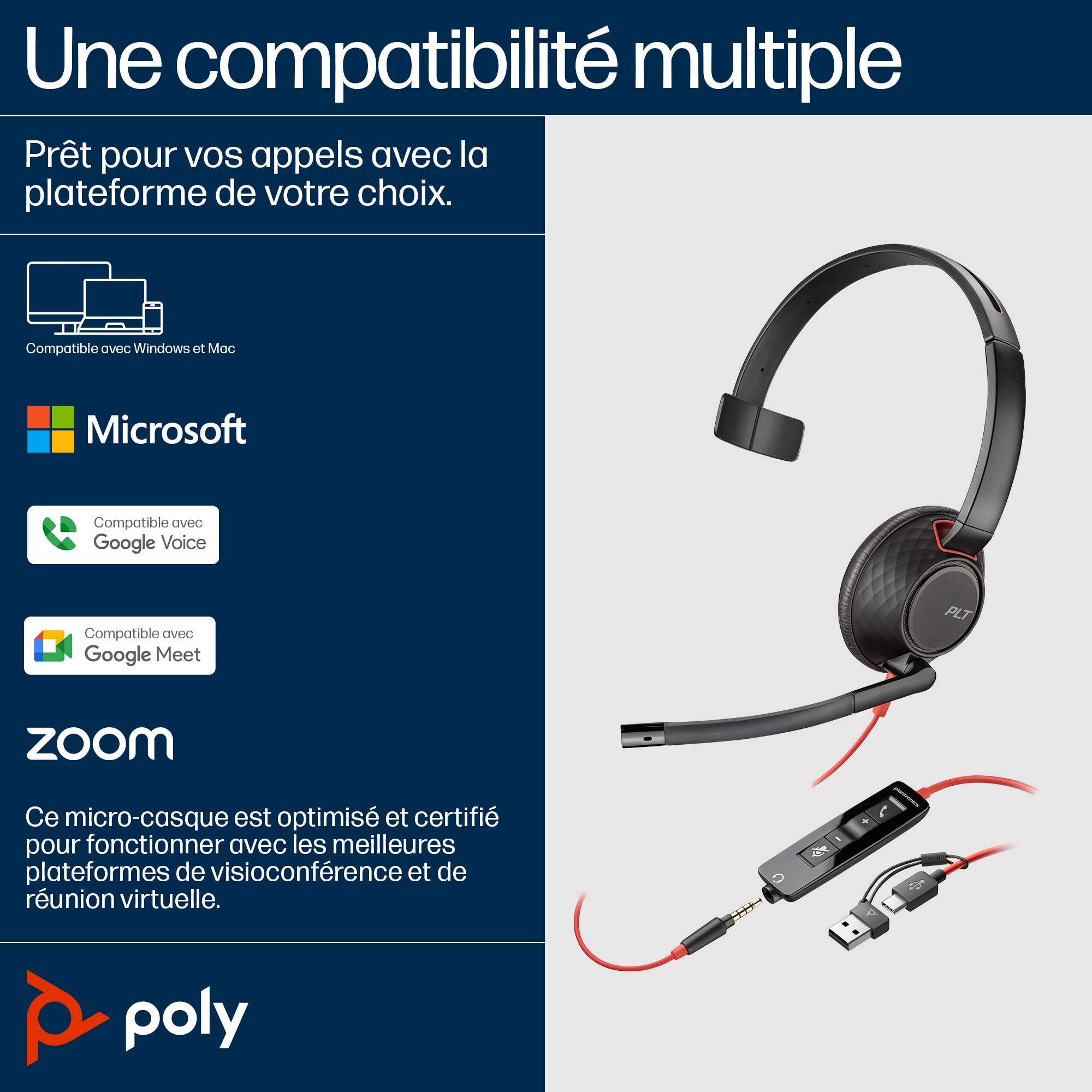 Rca Informatique - image du produit : POLY BW C5210 USB-C HS +INC