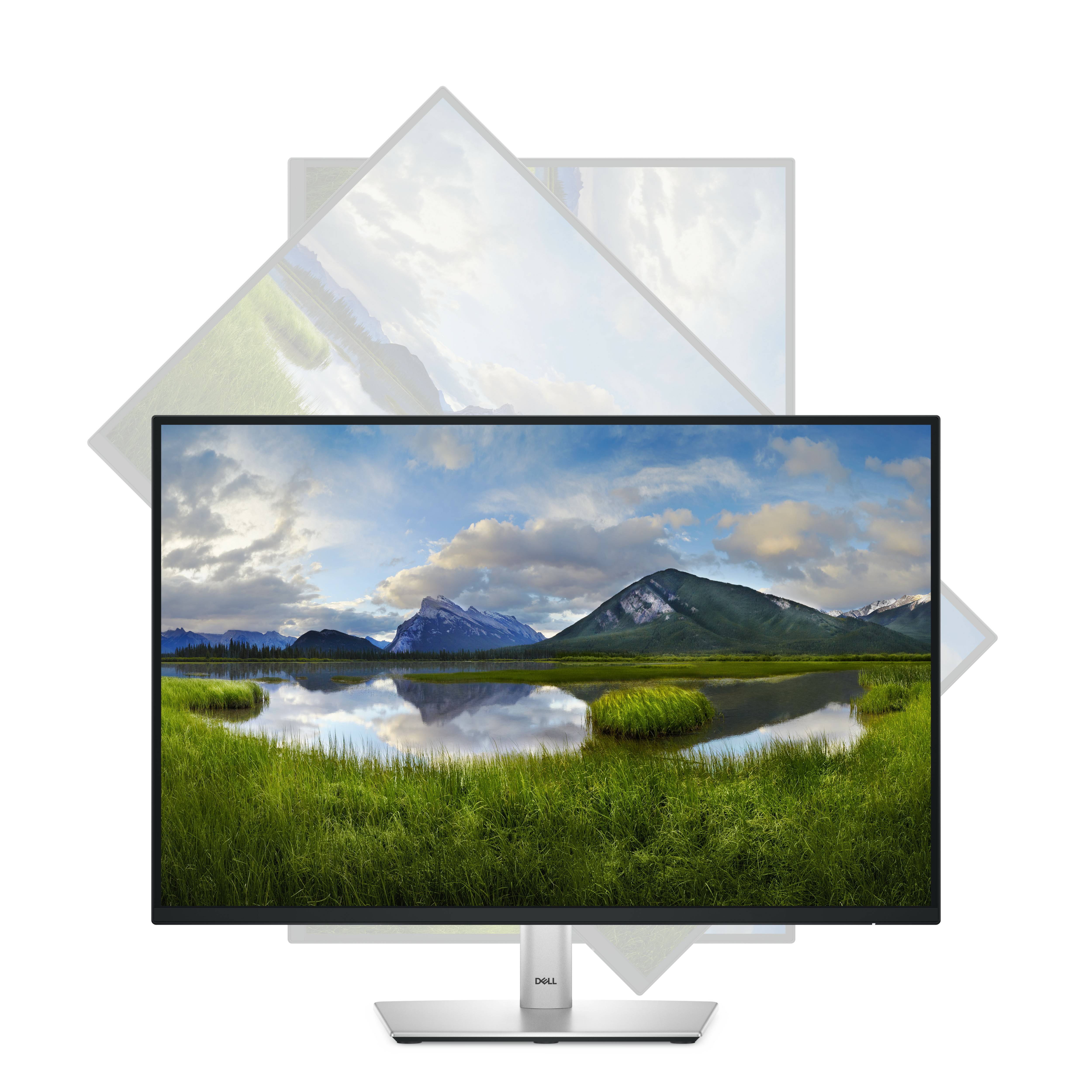 Rca Informatique - image du produit : DELL 24 MONITOR - P2425