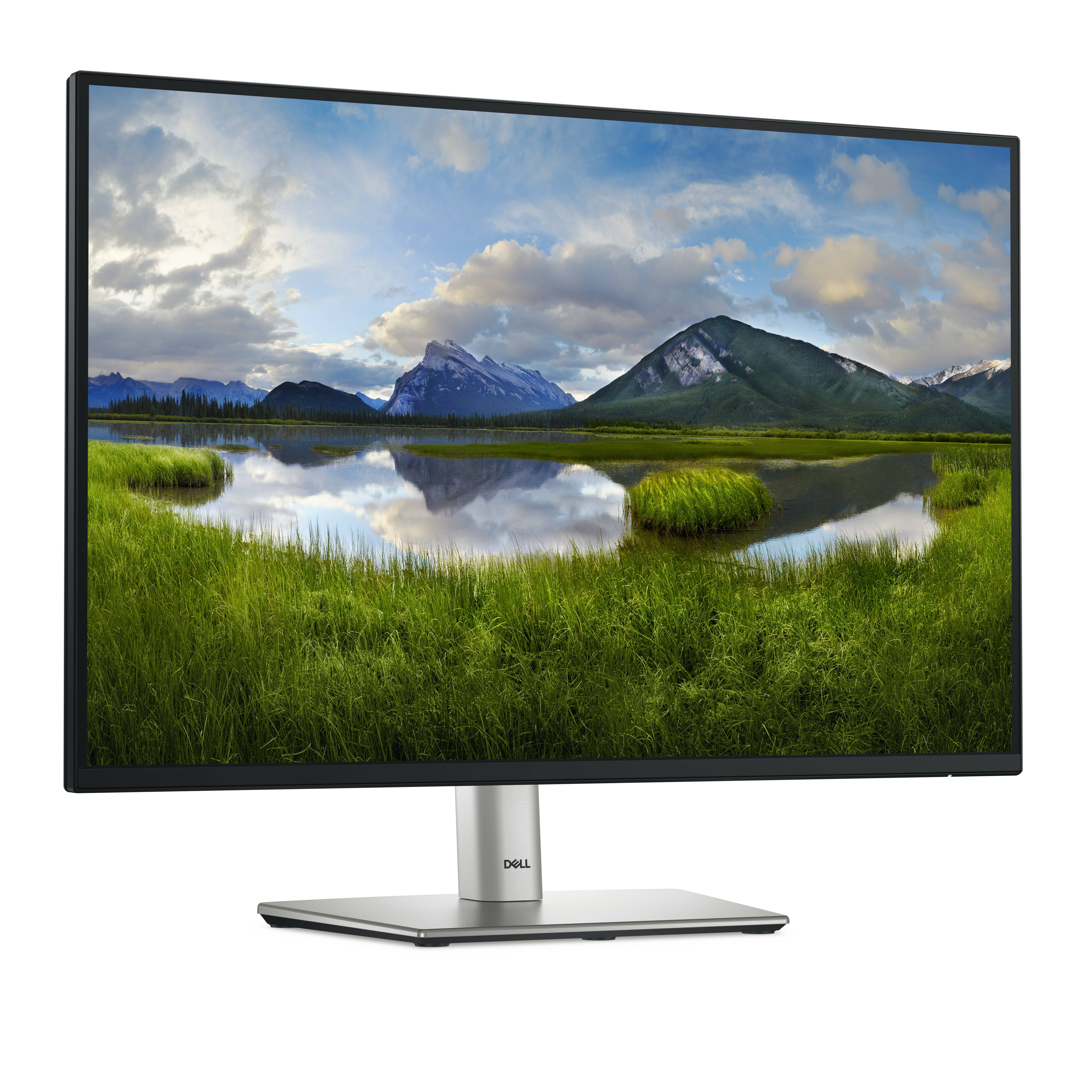 Rca Informatique - image du produit : DELL 24 MONITOR - P2425