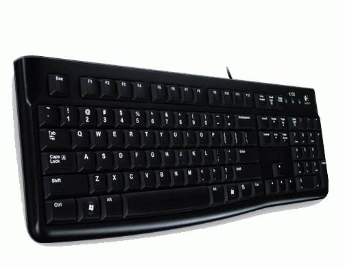 Rca Informatique - image du produit : KEYBOARD K120 HUNGARY LAYOUT HU