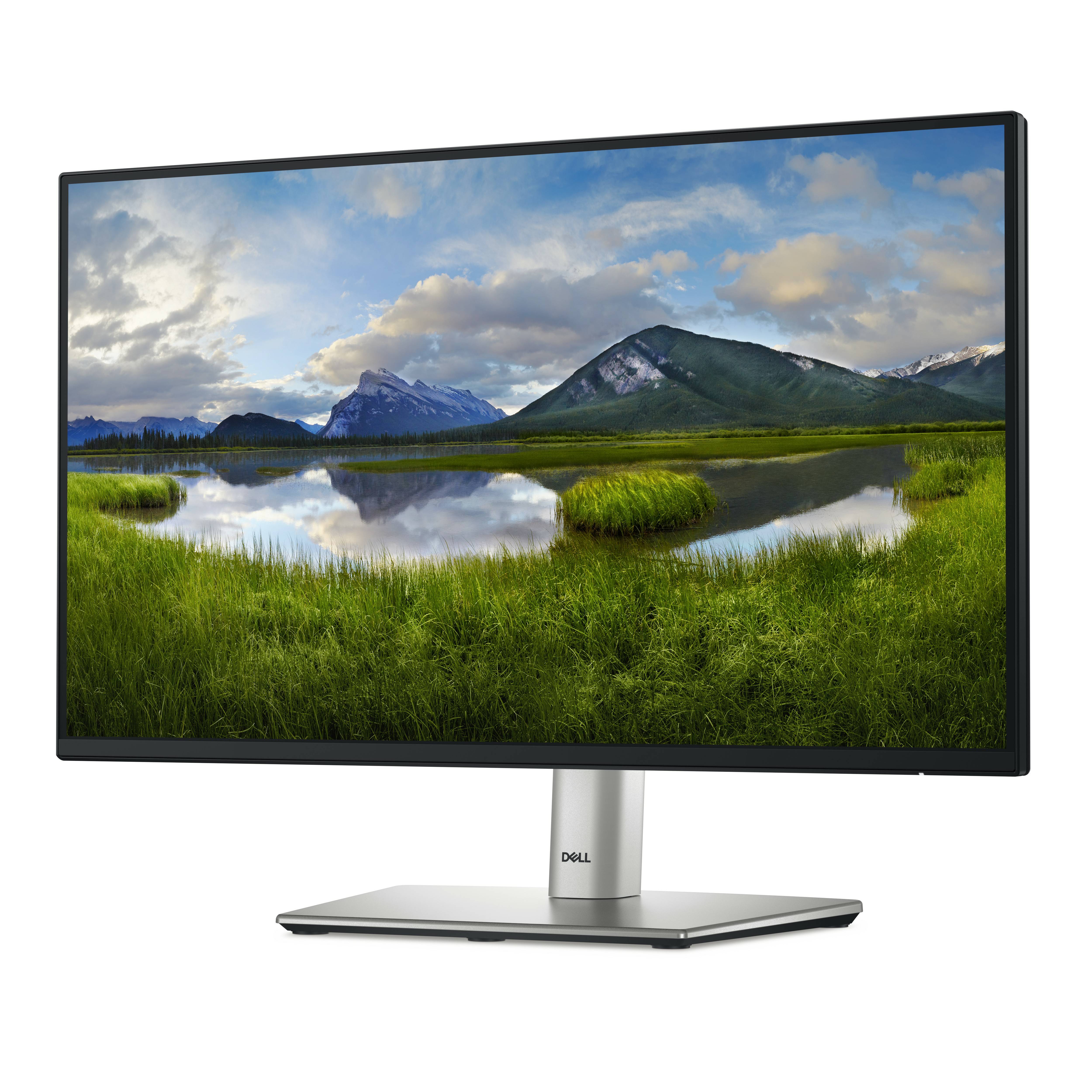 Rca Informatique - image du produit : DELL 22 MONITOR - P2225H