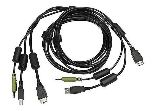 Rca Informatique - image du produit : CABLE 1-DVI-D 1-HDMI 1-USB 1-AUD 6FT