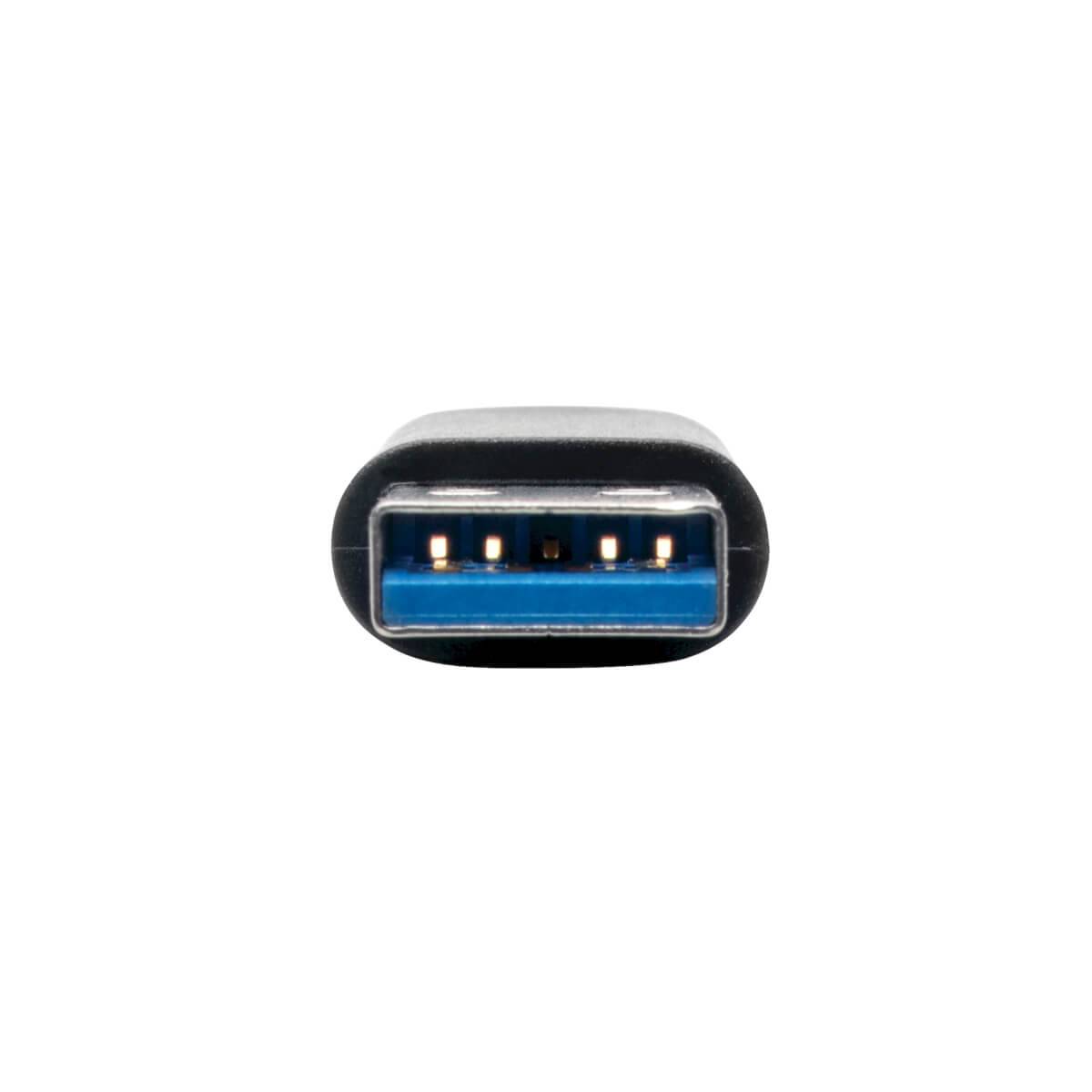 Rca Informatique - image du produit : USB 3.0 ADAPTER USB-A TO USB TYPE-C USB-C M/F