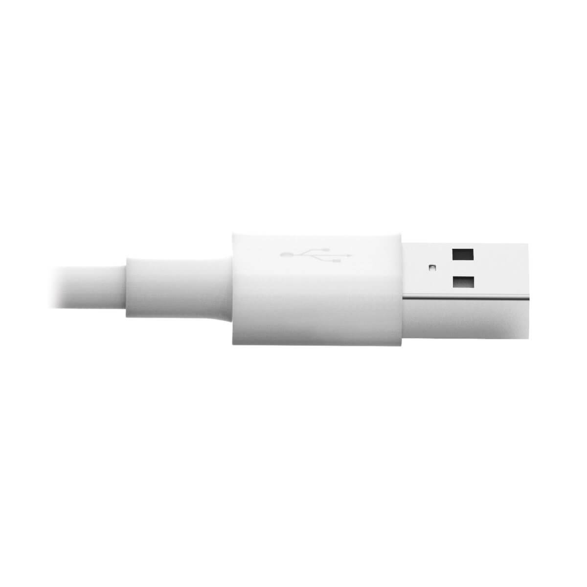 Rca Informatique - image du produit : USB LIGHTNING CABLE S YNC/CHARGE