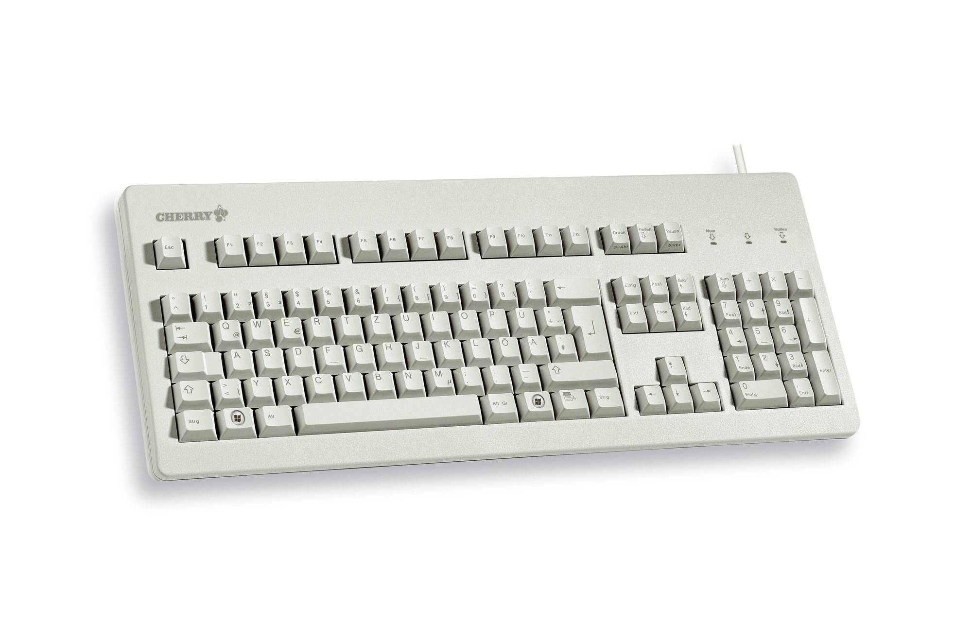 Rca Informatique - image du produit : KEYBOARD G80-3000 PS2/USB W/ GOLD CROSSPOINT CONTACTS