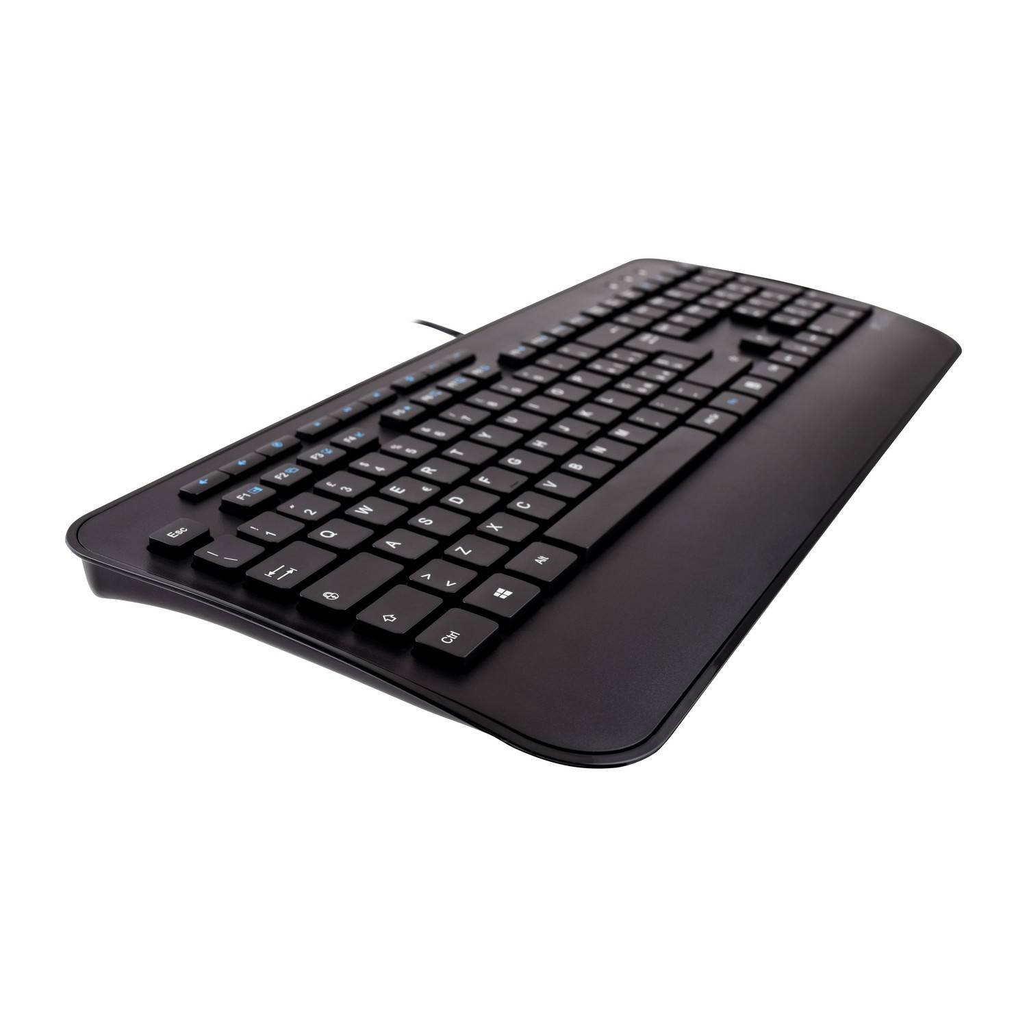 Rca Informatique - image du produit : PRO USB MULTIMEDIA KEYBOARD IT FULLSIZE/PALMREST ITALIAN QWERTY