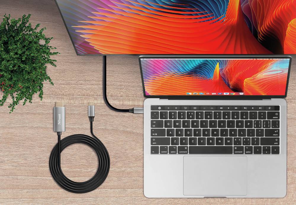 Rca Informatique - image du produit : CALYX USB-C TO HDMI CABLE BQ 100