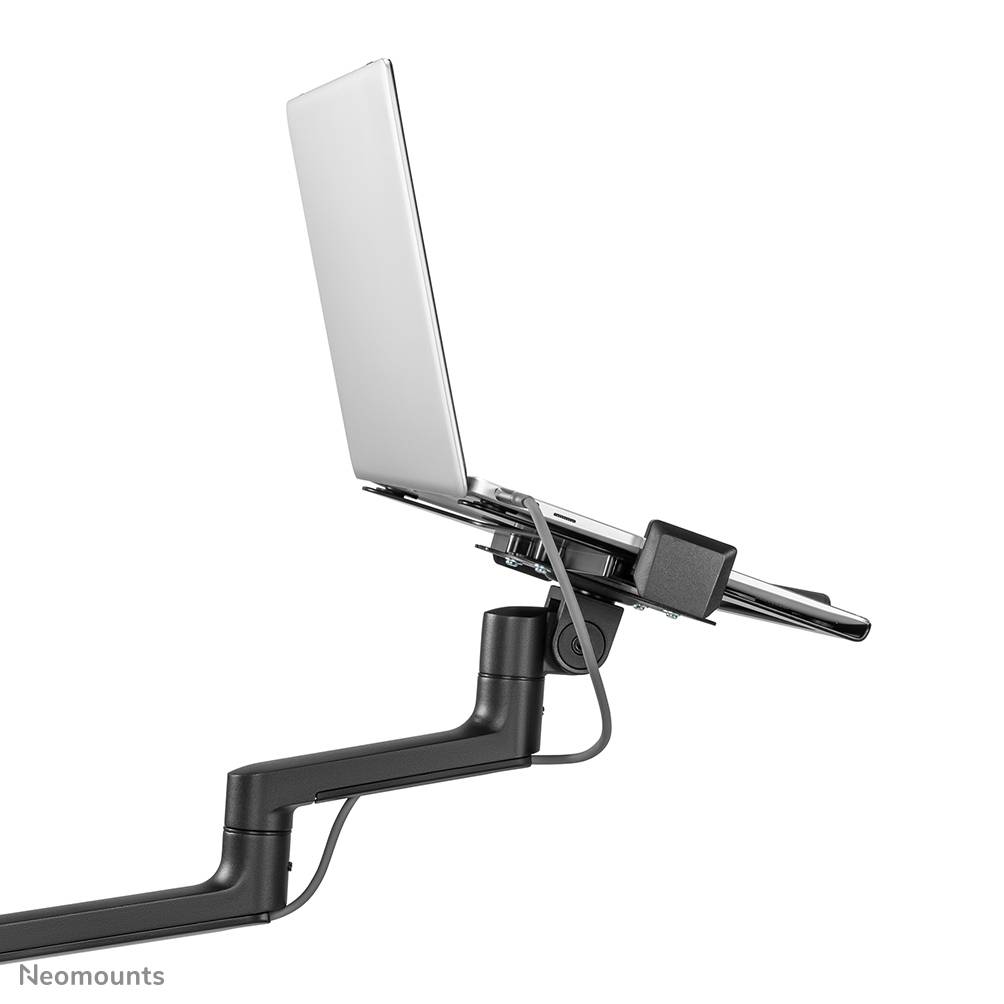 Rca Informatique - image du produit : NEOMOUNTS LAPTOP + SCREEN DESK MOUNT (CLAMP+GROMMET)