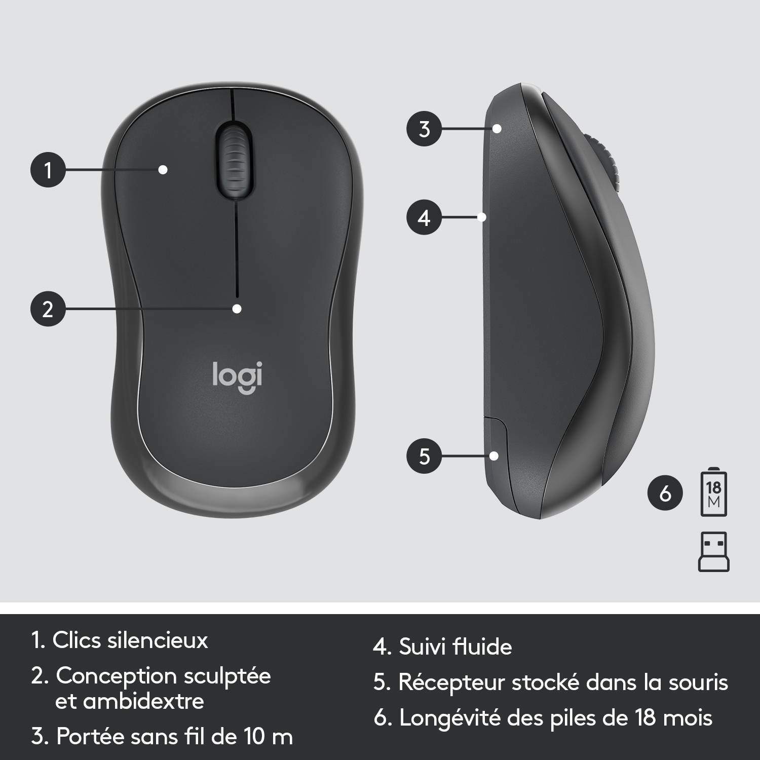 Rca Informatique - image du produit : MK295 SILENT WIRELESS COMBO GRAPHITE - NLB - INTNL