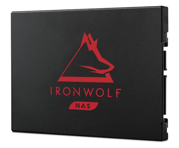 Rca Informatique - Image du produit : IRONWOLF 125 SSD 250GB RETAIL 2.5IN SATA 6GB/S 7MM 3D TLC