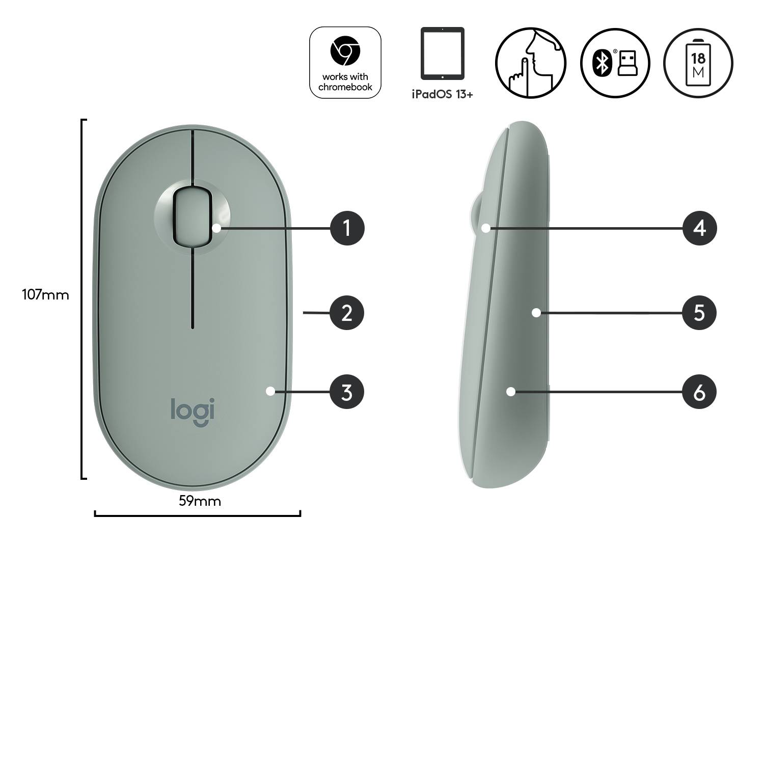 Rca Informatique - image du produit : PEBBLE M350 WIRELESS MOUSE EUCALYPTUS EMEA