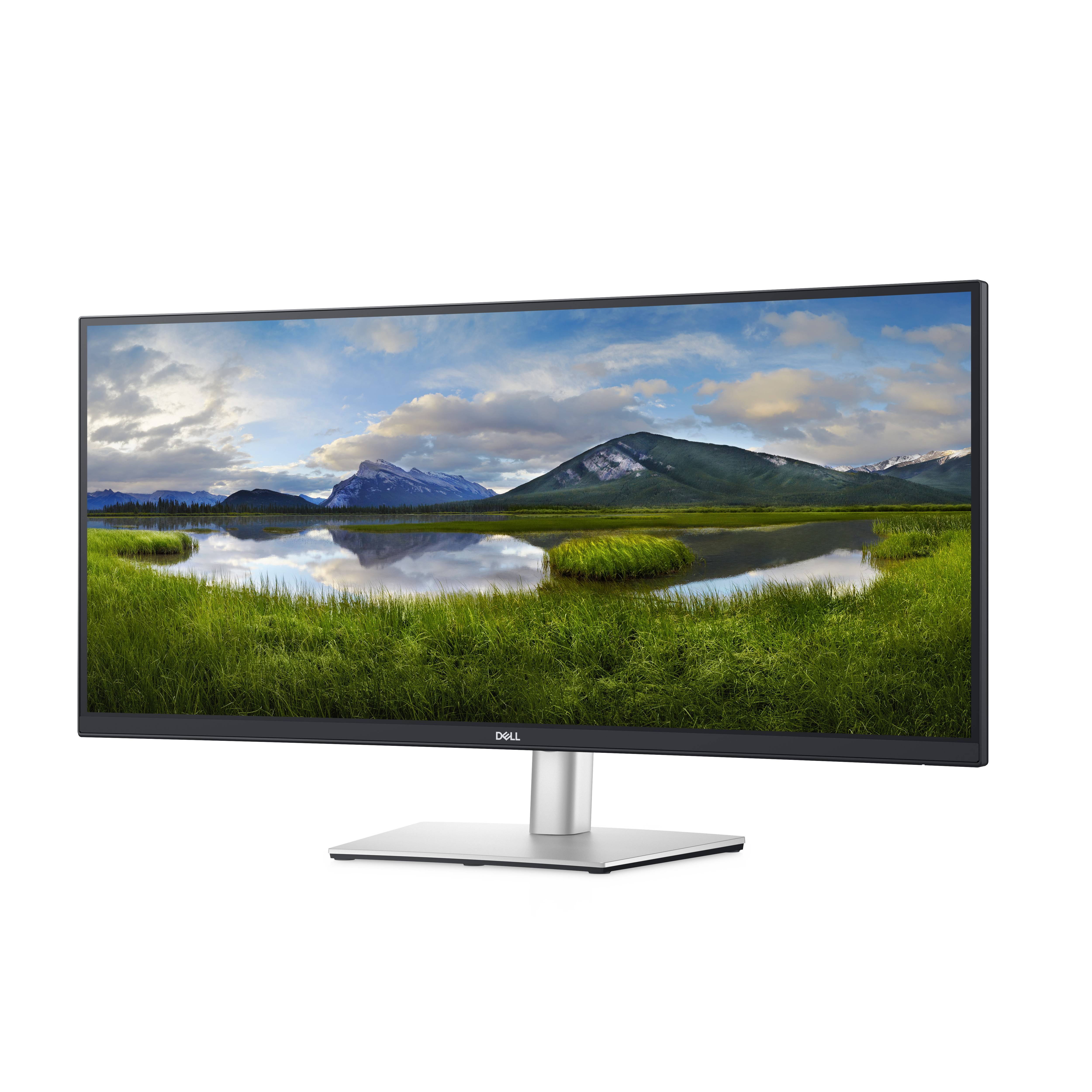 Rca Informatique - image du produit : DELL CURVED USB-C MONITOR-P3421W-86.5CM(34)