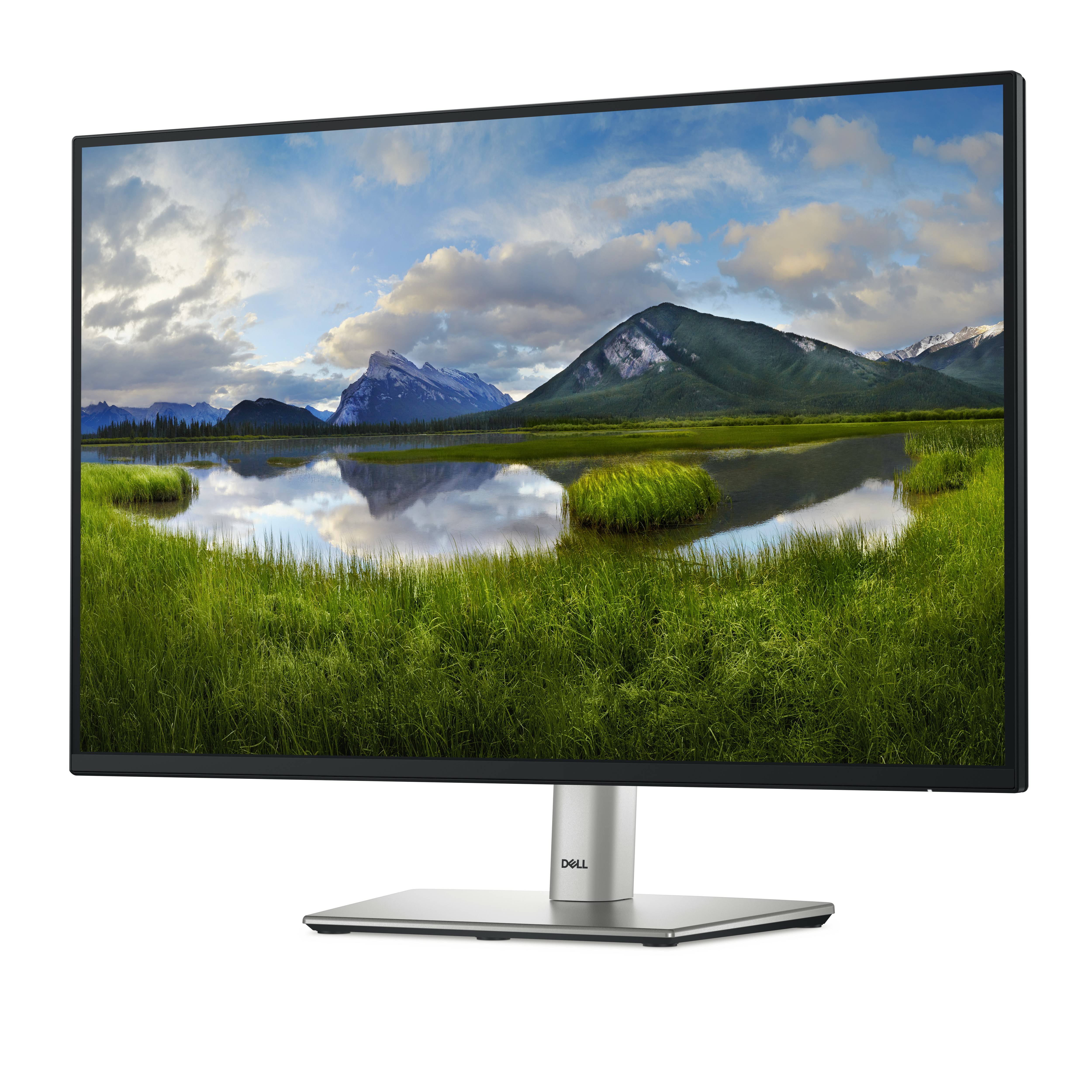 Rca Informatique - image du produit : DELL 24 MONITOR - P2425