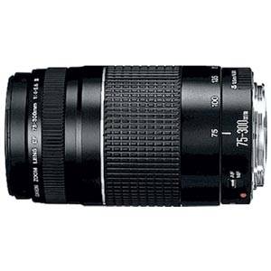 Rca Informatique - image du produit : LENS EF 75-300 4-5.6 III USM F/ EOS