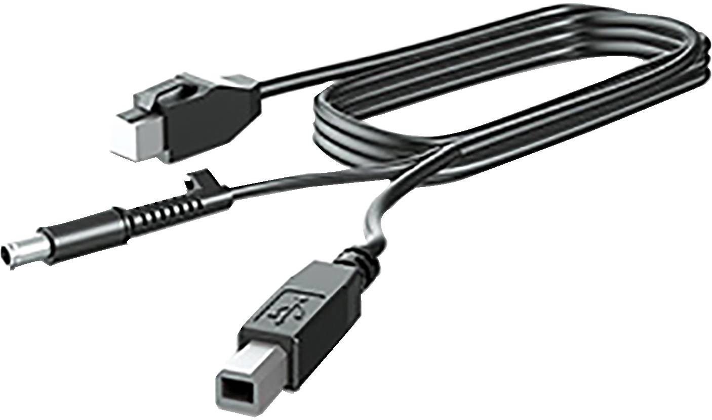 Rca Informatique - image du produit : 300CM DP+USB PWR CABLE .