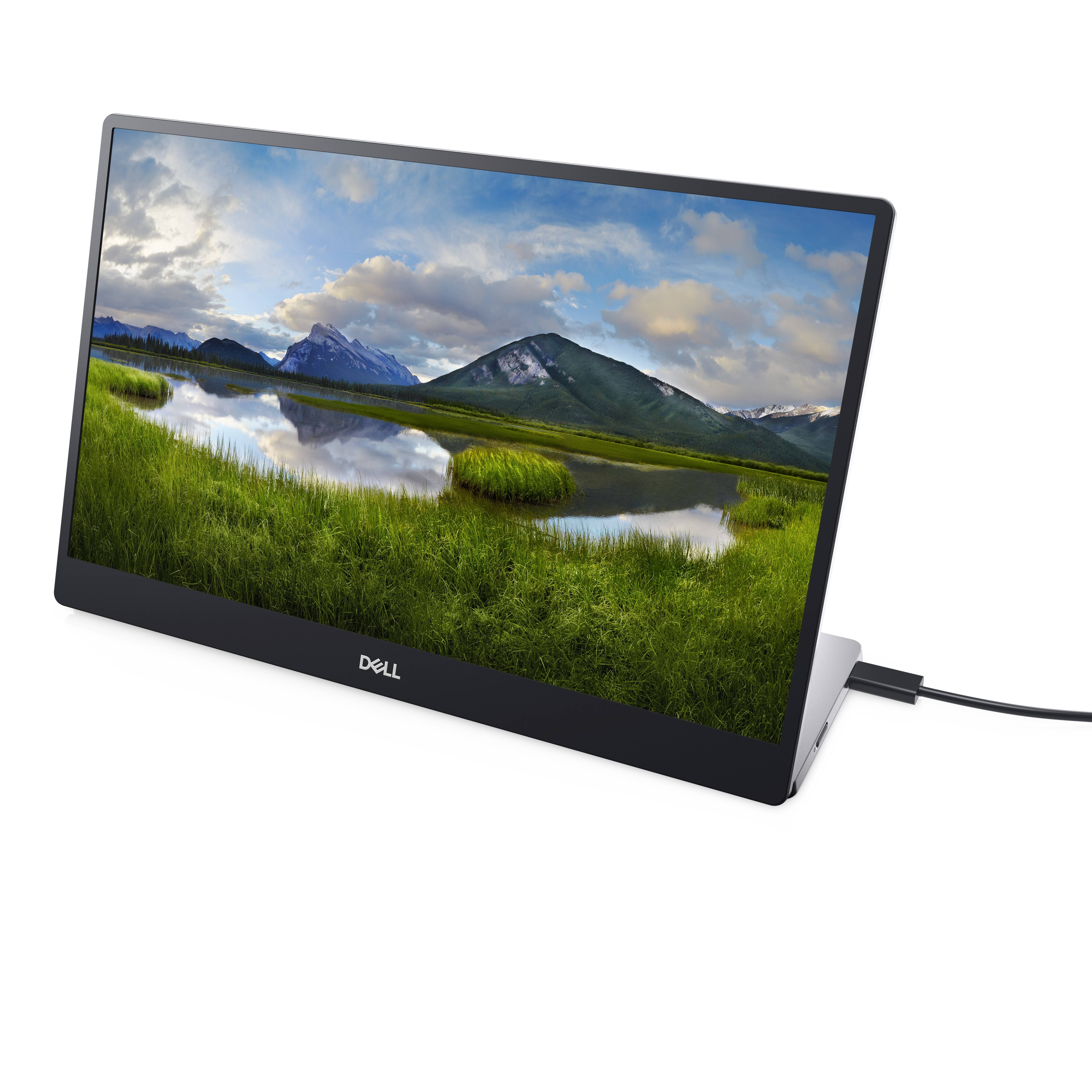 Rca Informatique - image du produit : 14 PORTABLE MONITOR - P1424H