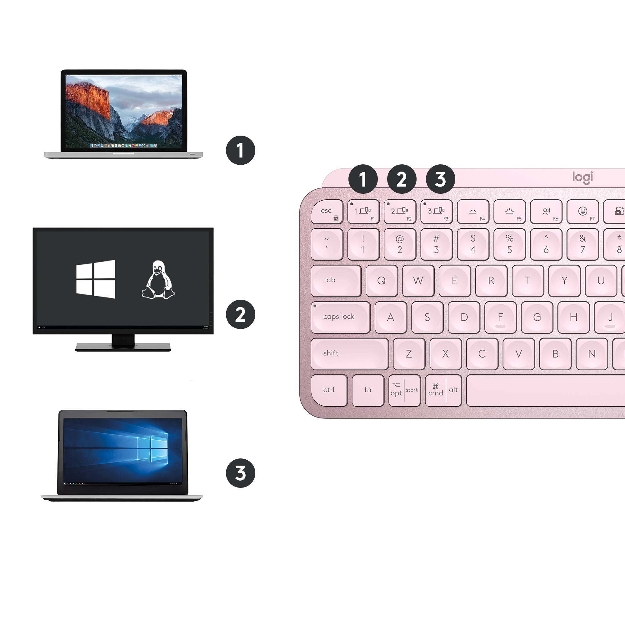 Rca Informatique - image du produit : MXKEYS MINI WRLS ILLUMINATED KB ROSE - US INT.L - INTNL