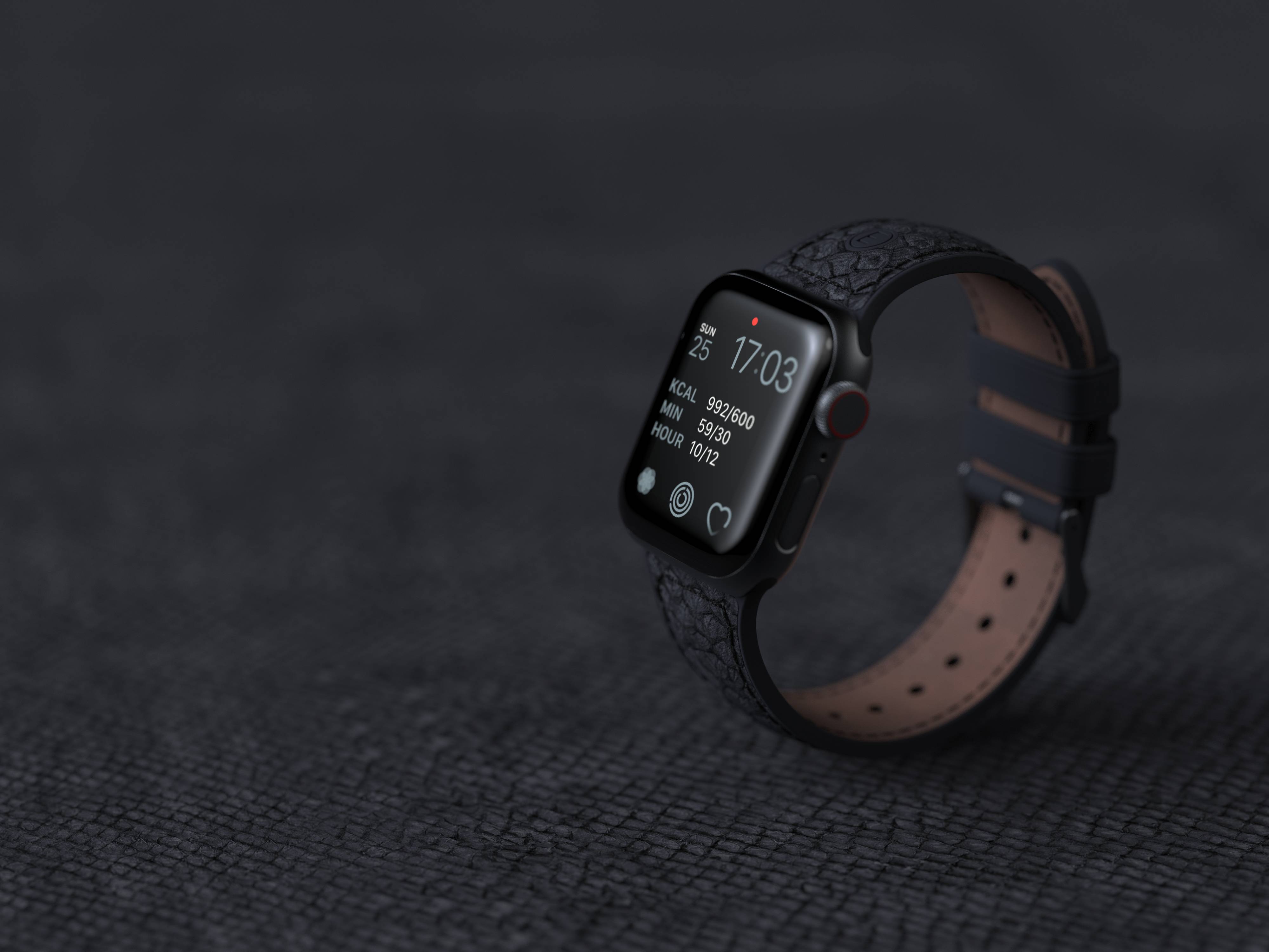 Rca Informatique - image du produit : APPLE WATCH STRAP 40/41MM NJORD - SALMON LEATHER GREY