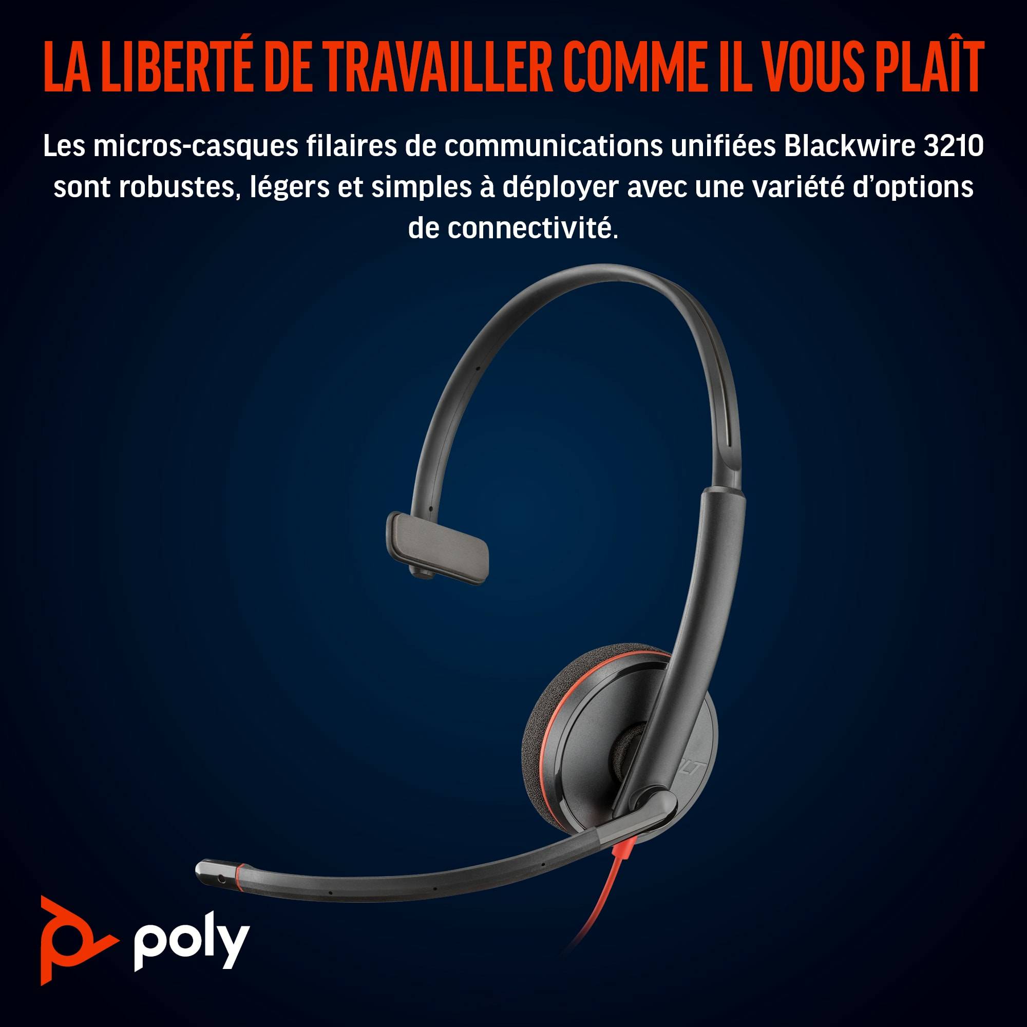 Rca Informatique - image du produit : POLY BW 3210 MONO USB-C HS +USB-C/A