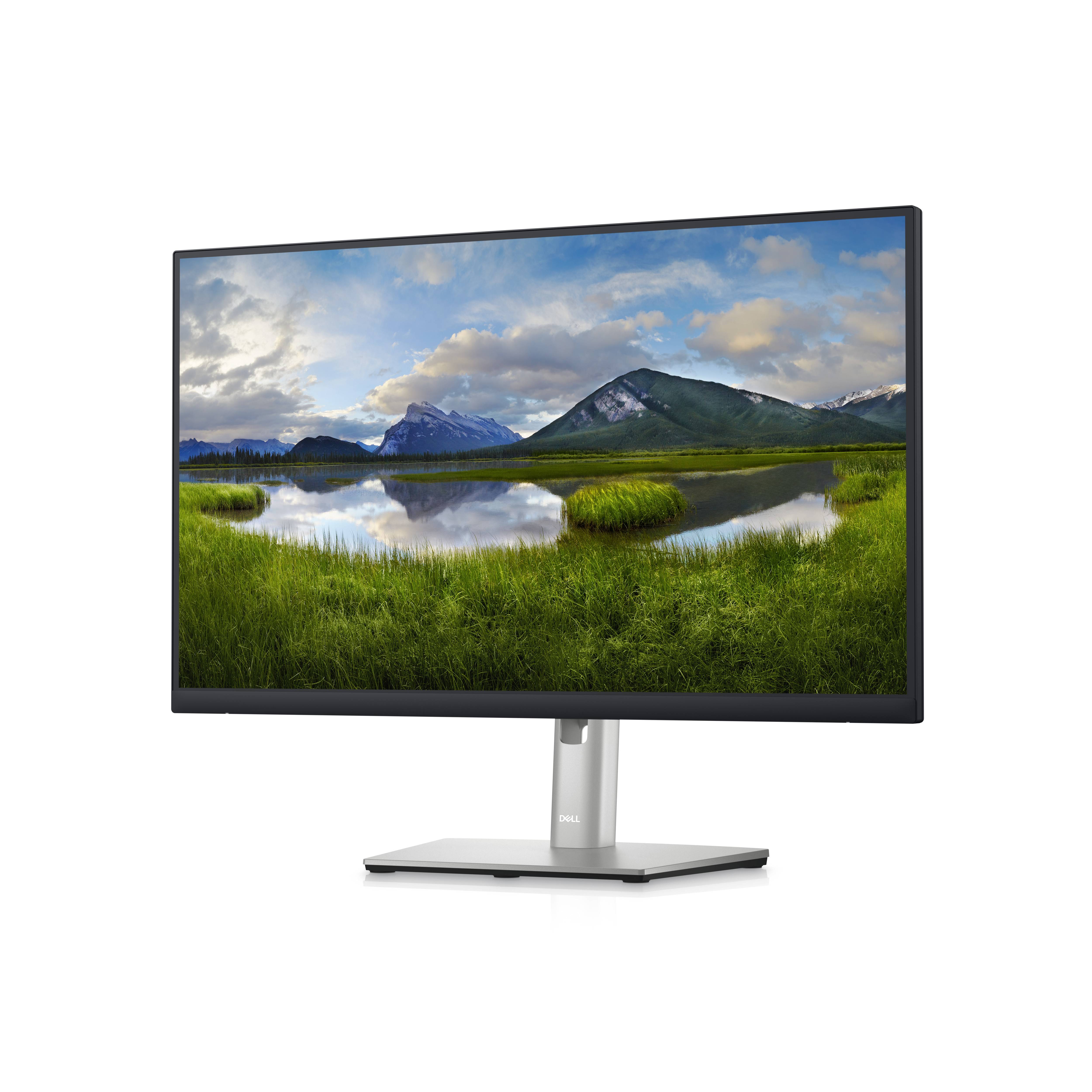 Rca Informatique - image du produit : DELL 24 USB-C HUB MONITOR - P2423DE -60.5CM 23.8IN