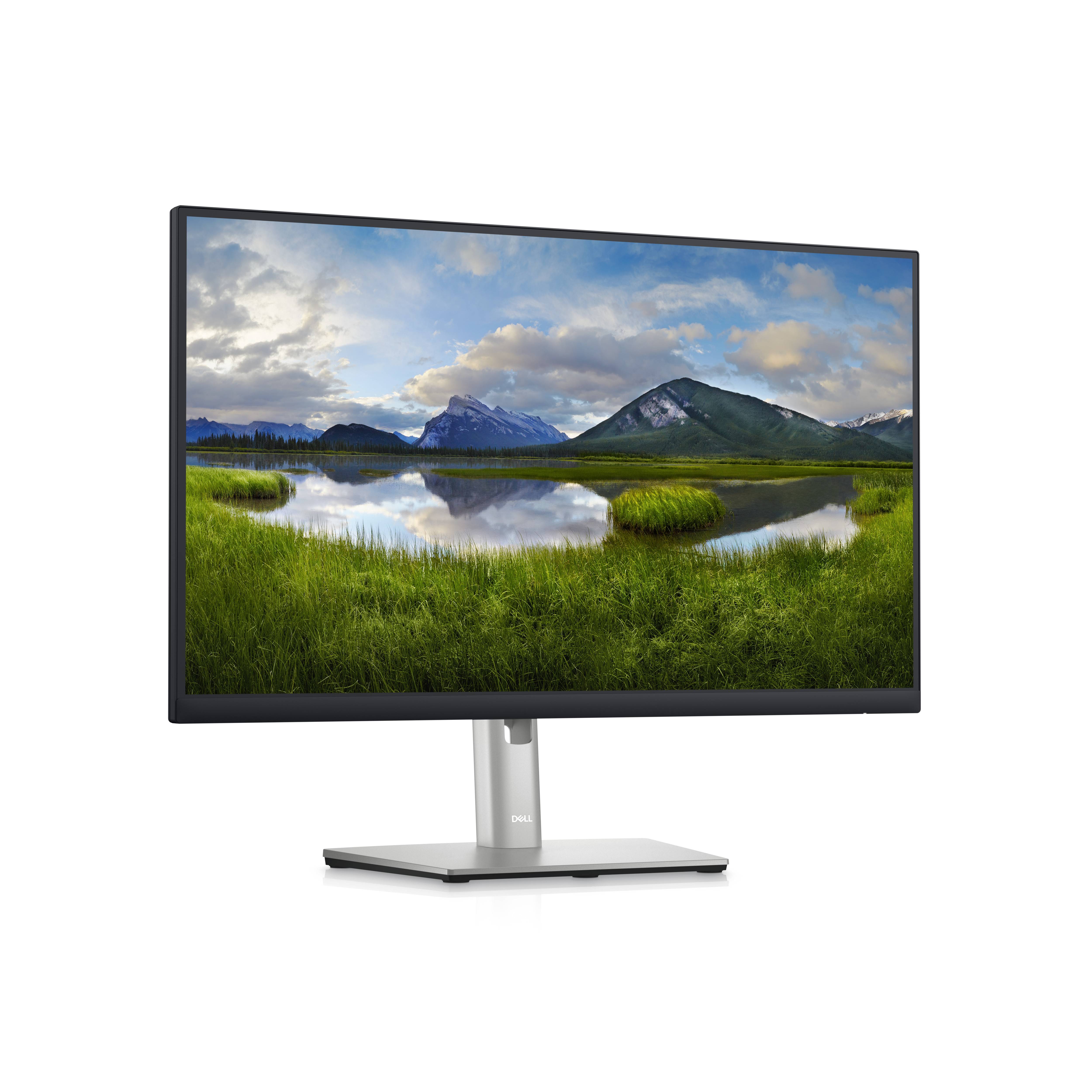 Rca Informatique - image du produit : DELL 24 USB-C HUB MONITOR - P2423DE -60.5CM 23.8IN