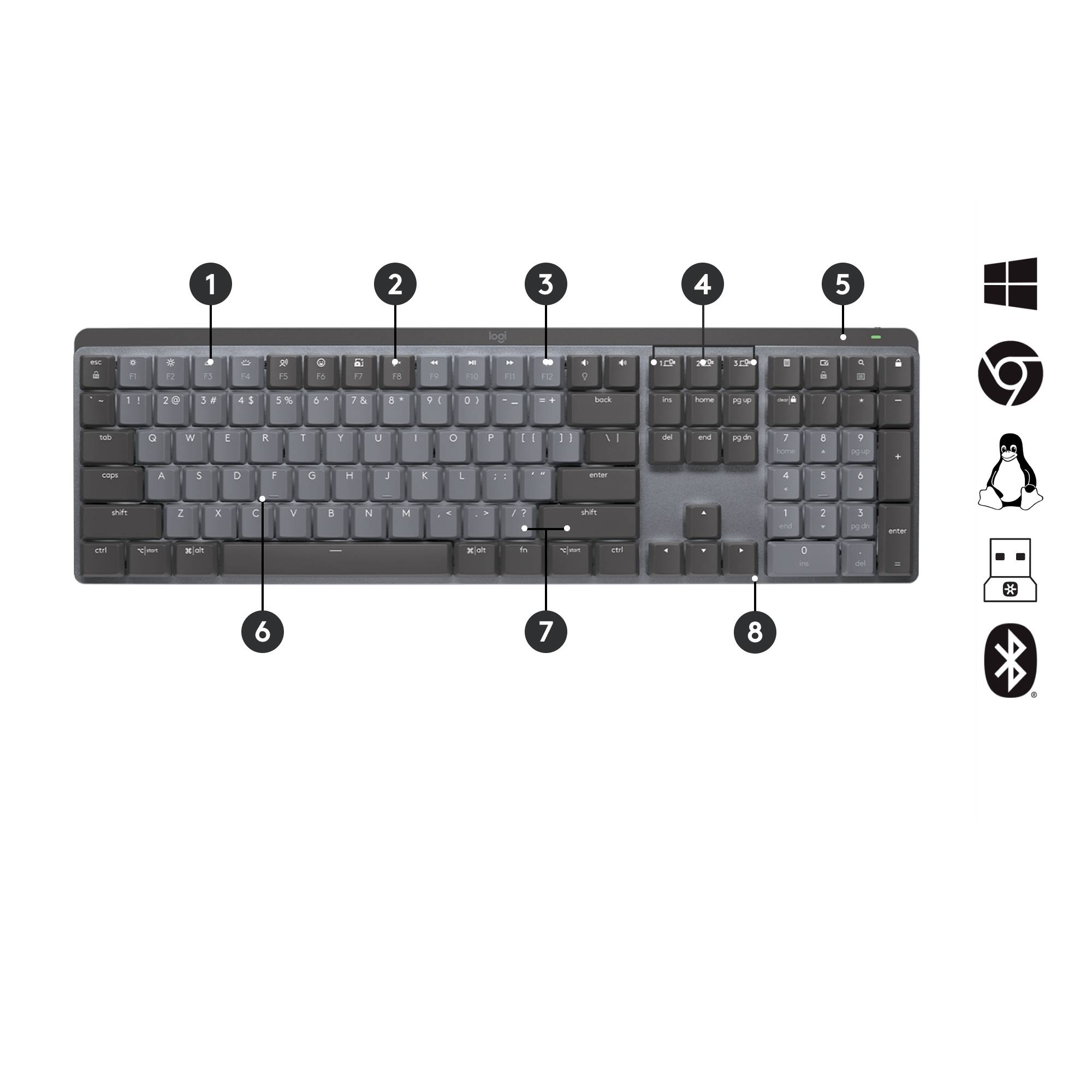 Rca Informatique - image du produit : MX MECHANICAL WRLS ILLUM. KEYB - GRAPHITE - CH - TACTILE