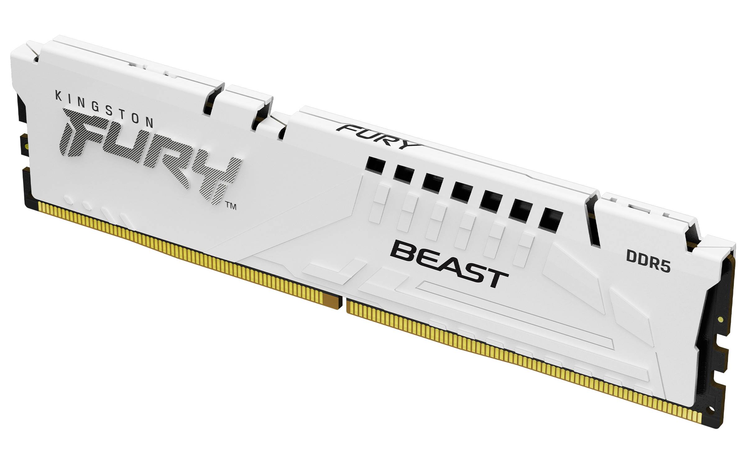 Rca Informatique - image du produit : 16GB DDR5 6400MT/S CL32 DIMM FURY BEAST WHITE EXPO