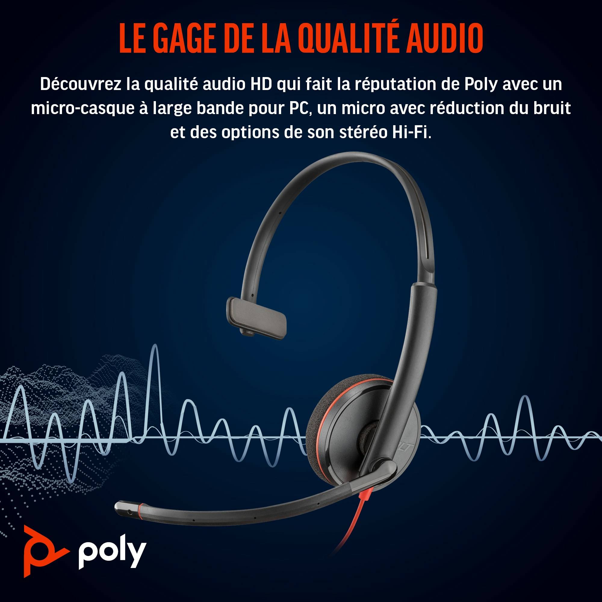 Rca Informatique - image du produit : POLY BW 3210 MONO USB-C HS +USB-C/A