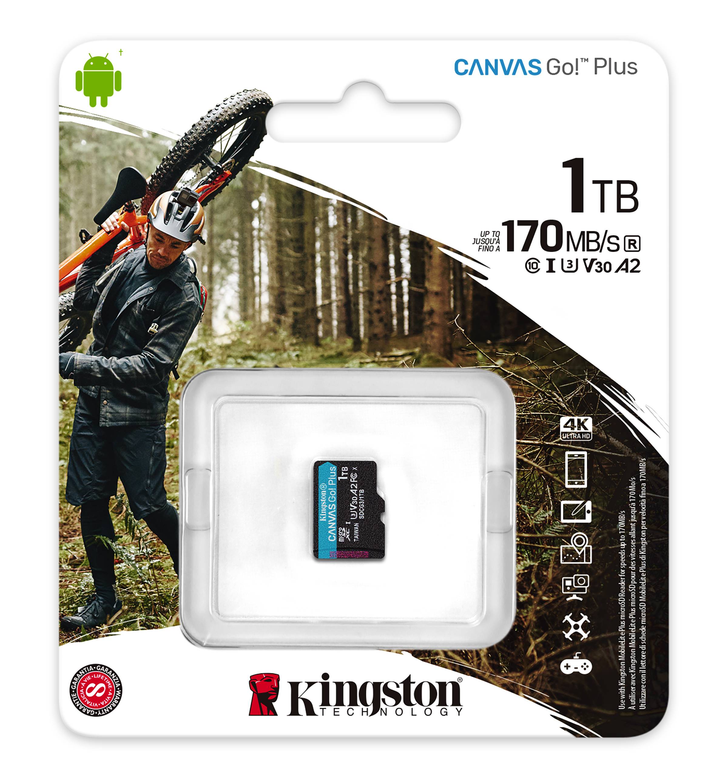 Rca Informatique - image du produit : 1TB MSDXC CANVAS GO PLUS 170R A2 U3 V30 SINGLE PACK W/O ADP